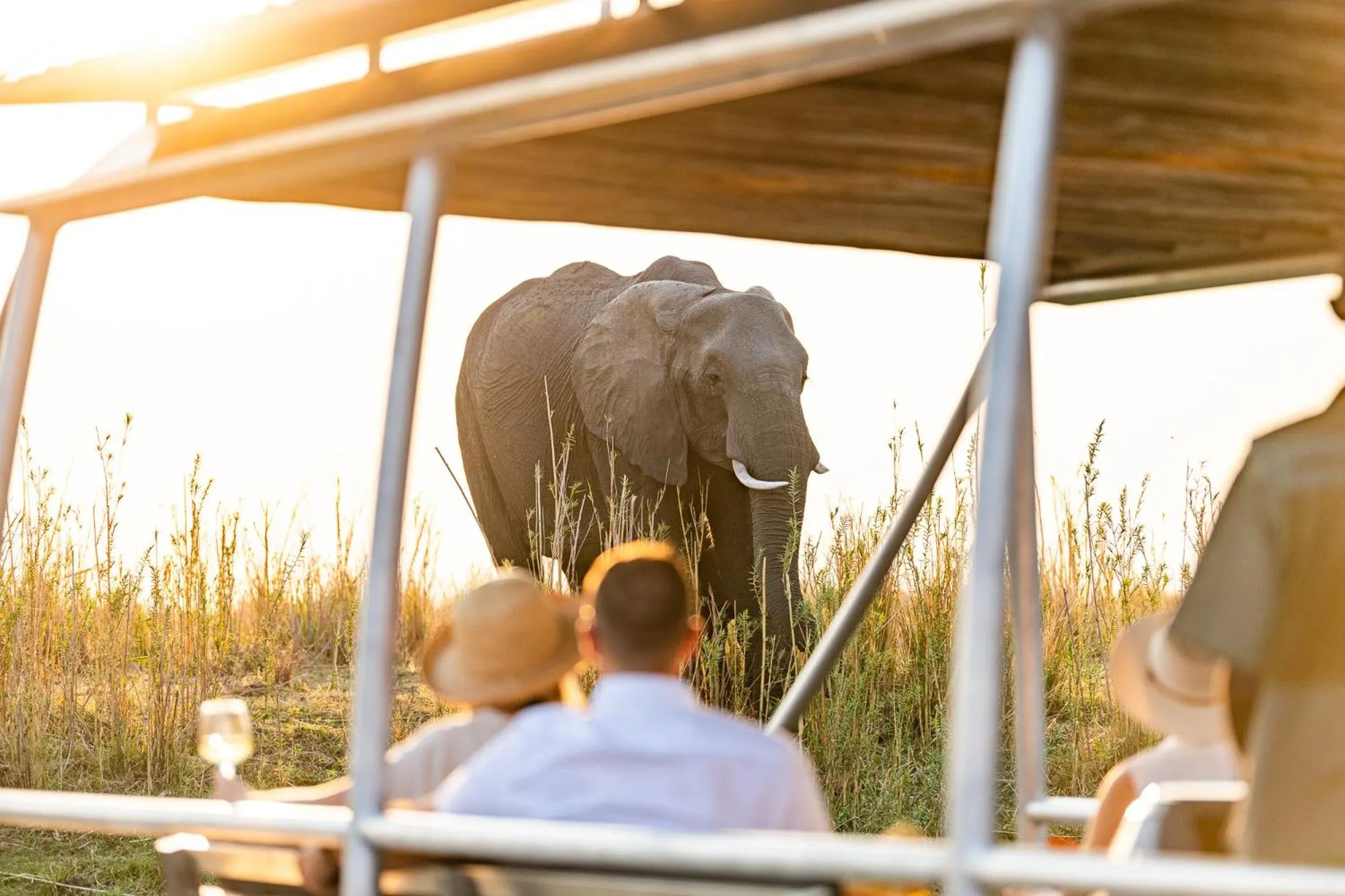 Animals in Chobe Water Villas