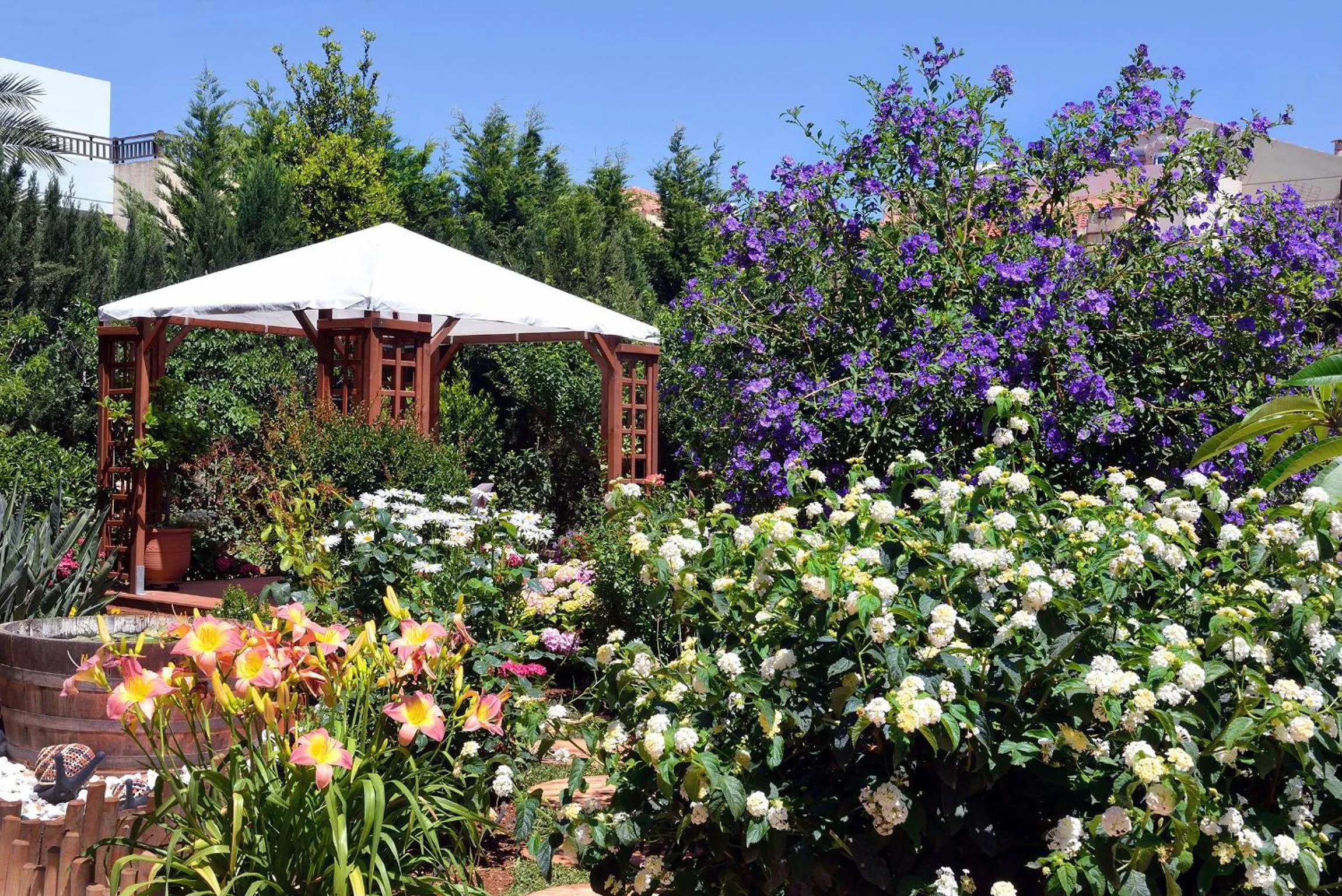 Garden in Stamatakis Boutique Studios
