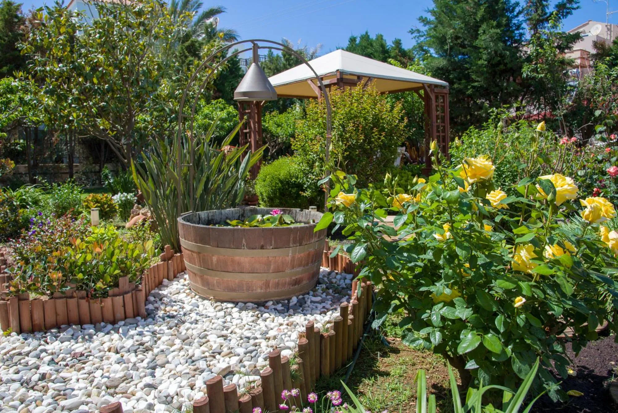 Garden in Stamatakis Boutique Studios