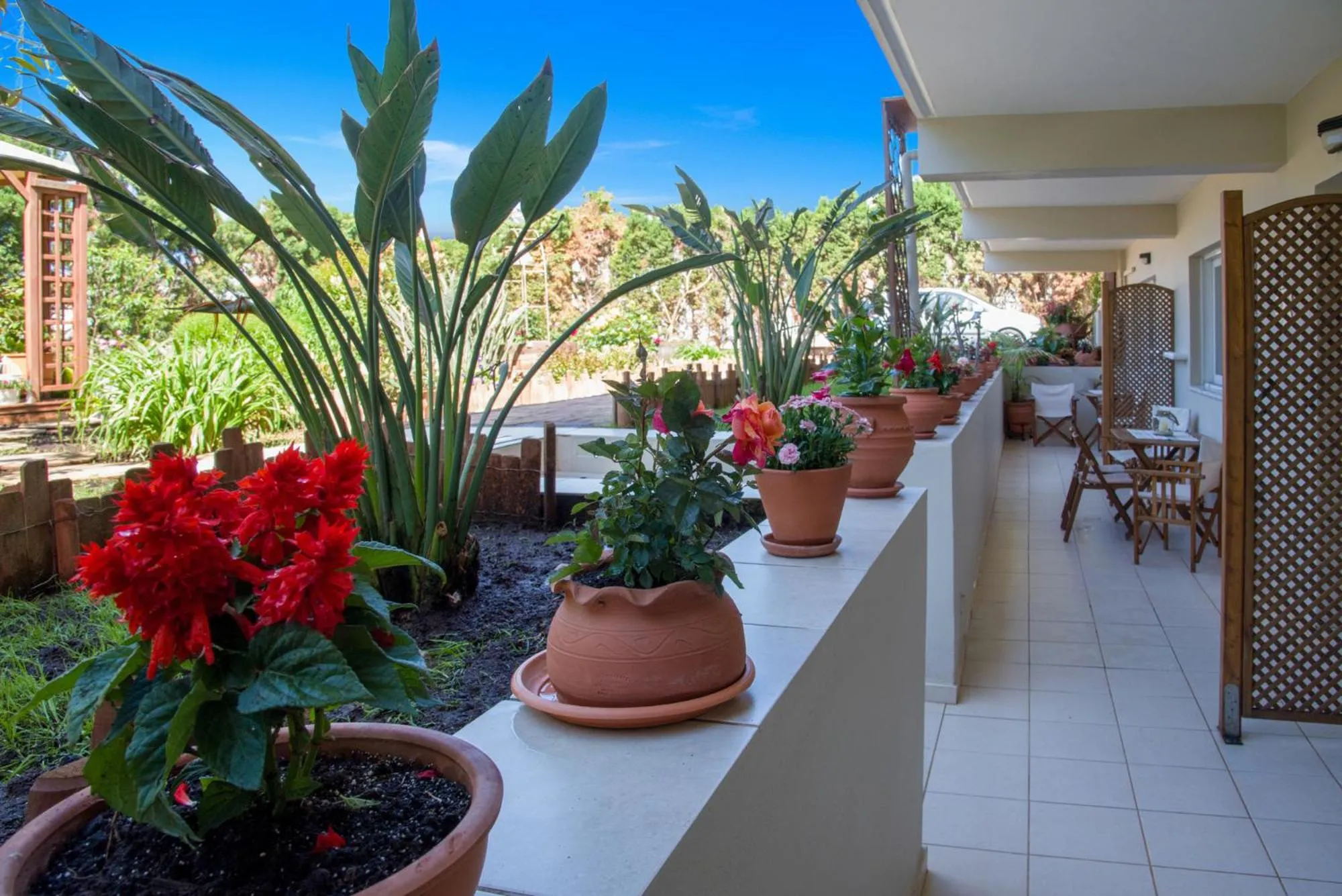 Balcony/Terrace in Stamatakis Boutique Studios