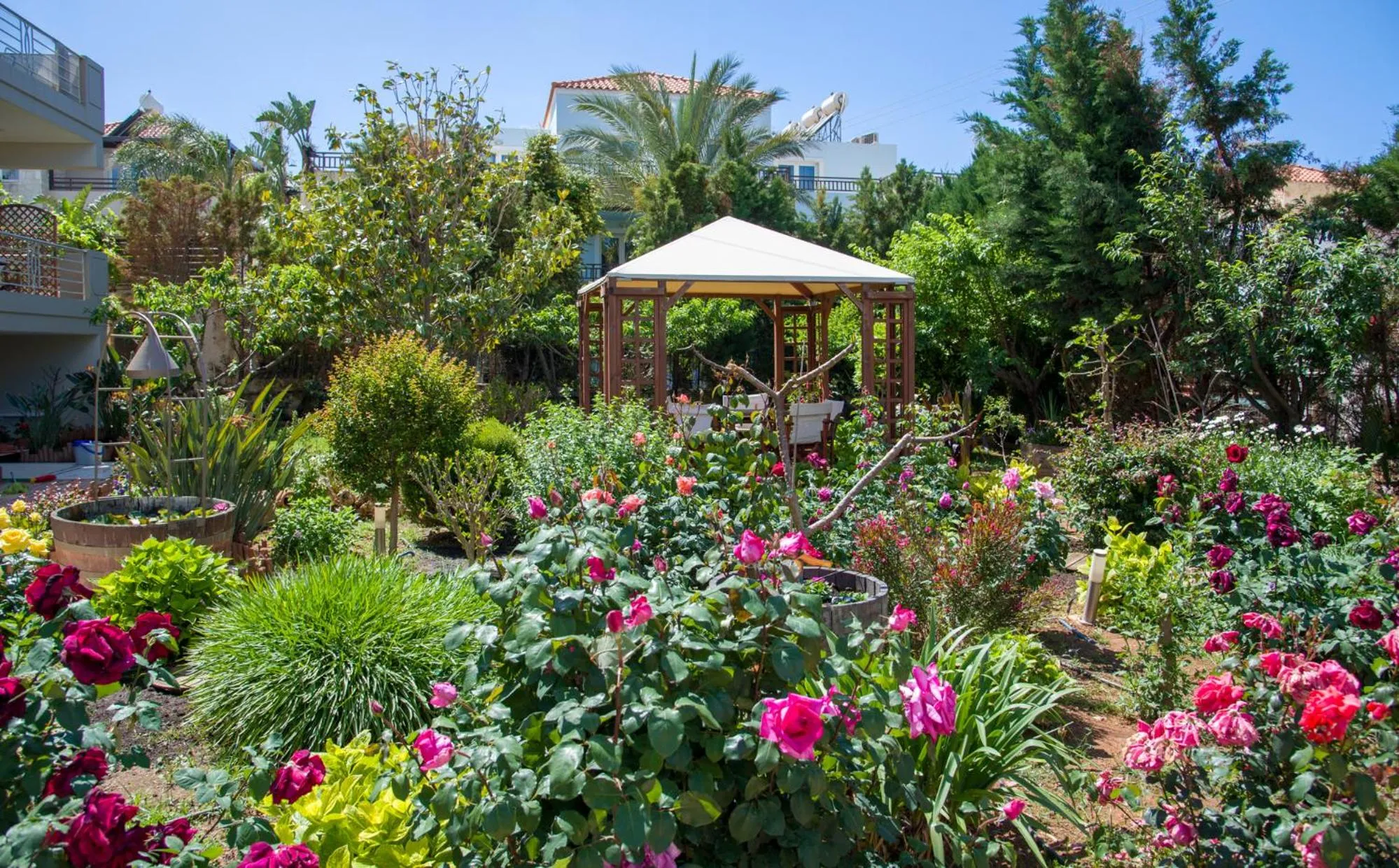 Garden in Stamatakis Boutique Studios