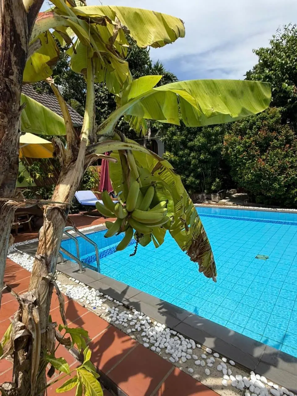 Swimming pool in Bungalow Mai Phuong Binh