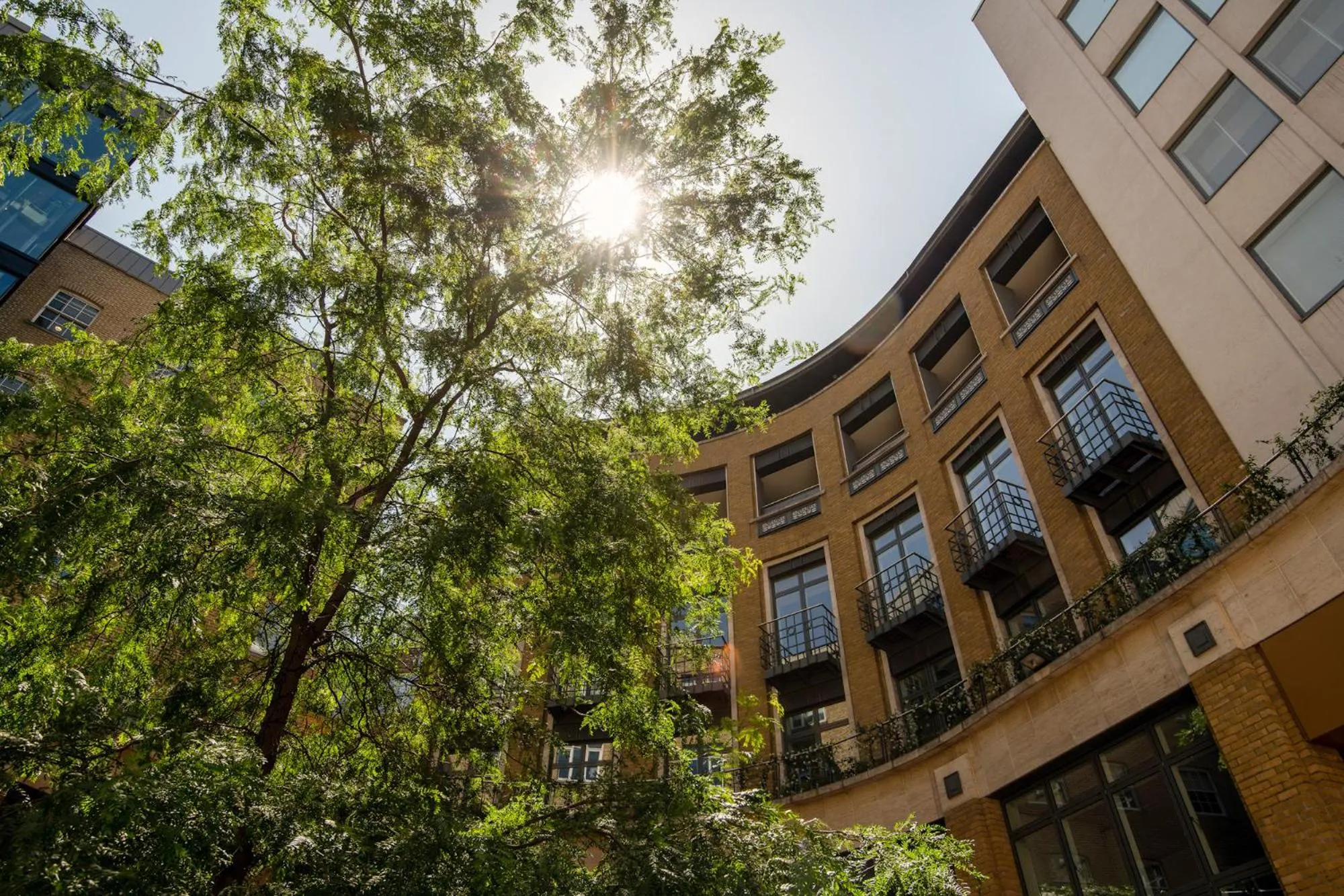 Property building in Cove St Martin's