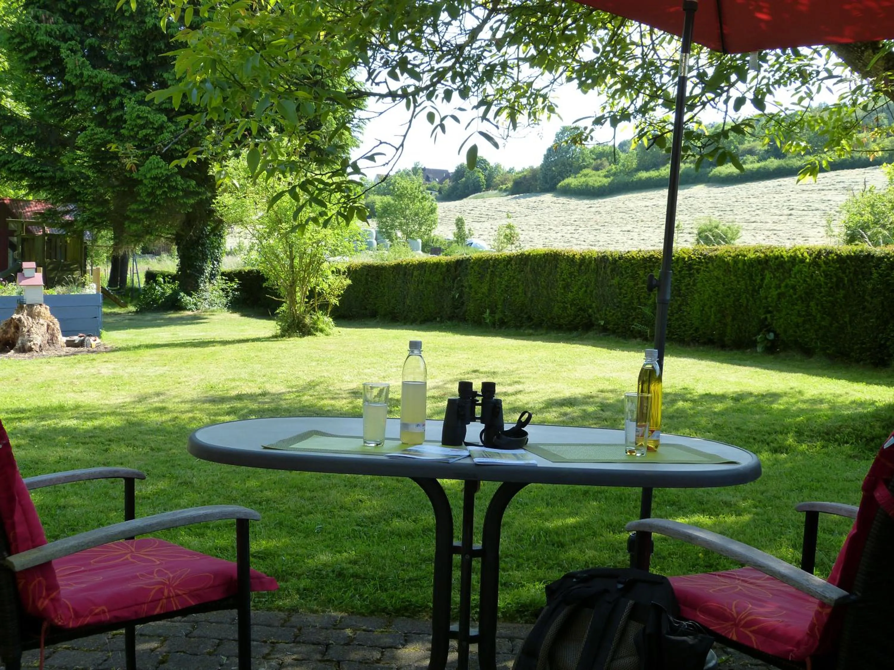 Garden in Gästehaus Steker