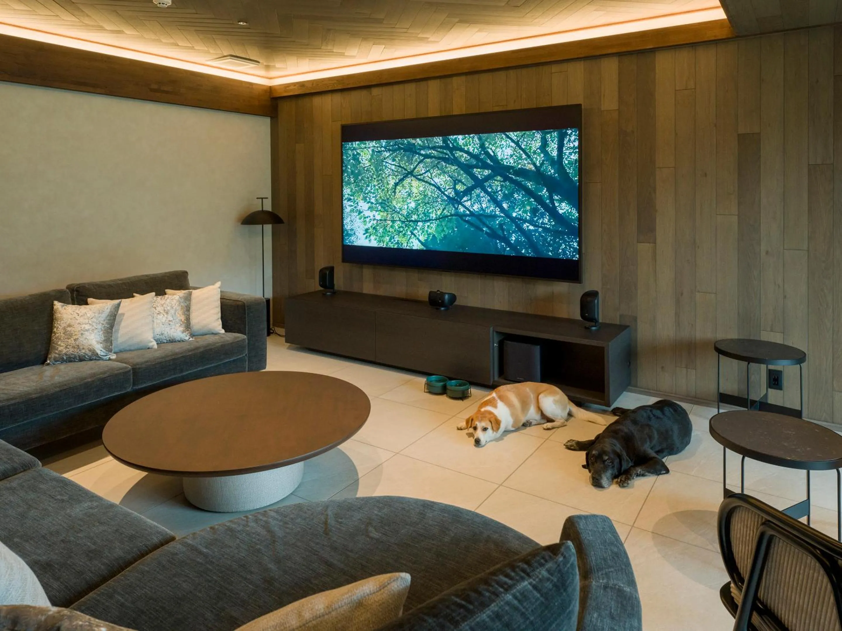 Living room, Bed in Rakuten STAY TERRACE Hakone Kowakudani