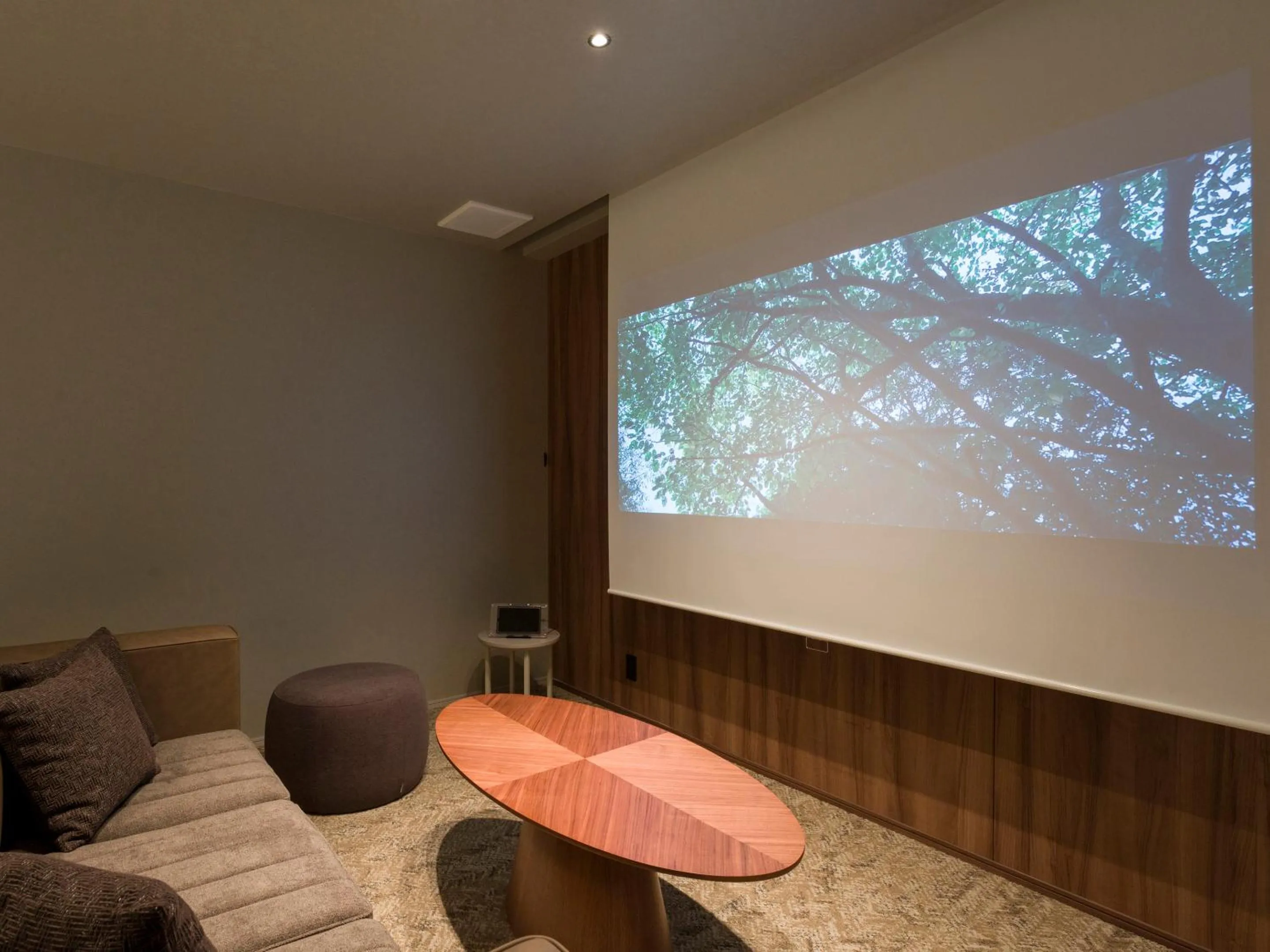 TV and multimedia in Rakuten STAY TERRACE Hakone Kowakudani