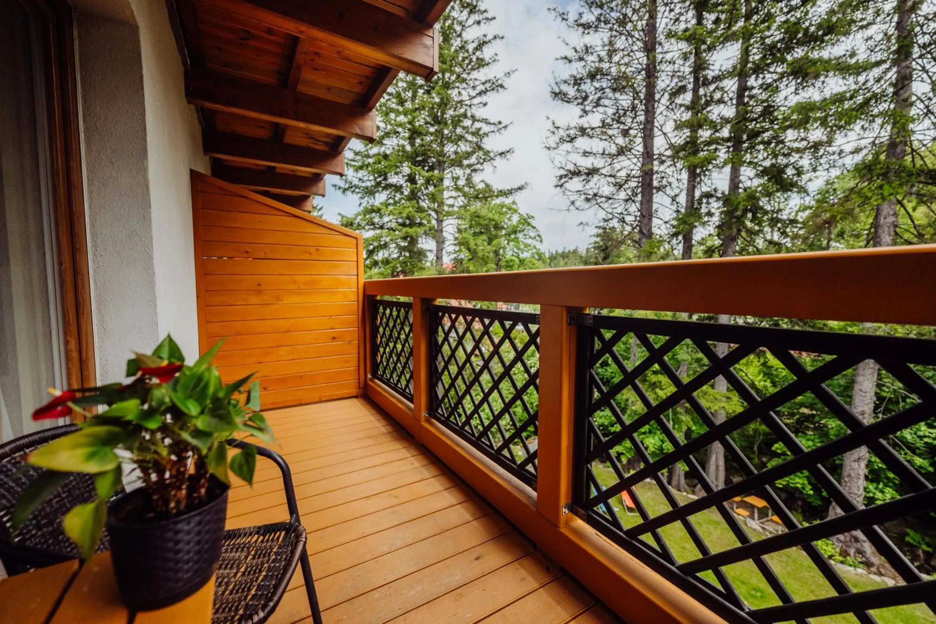 Balcony/Terrace in Hotel Na Skarpie