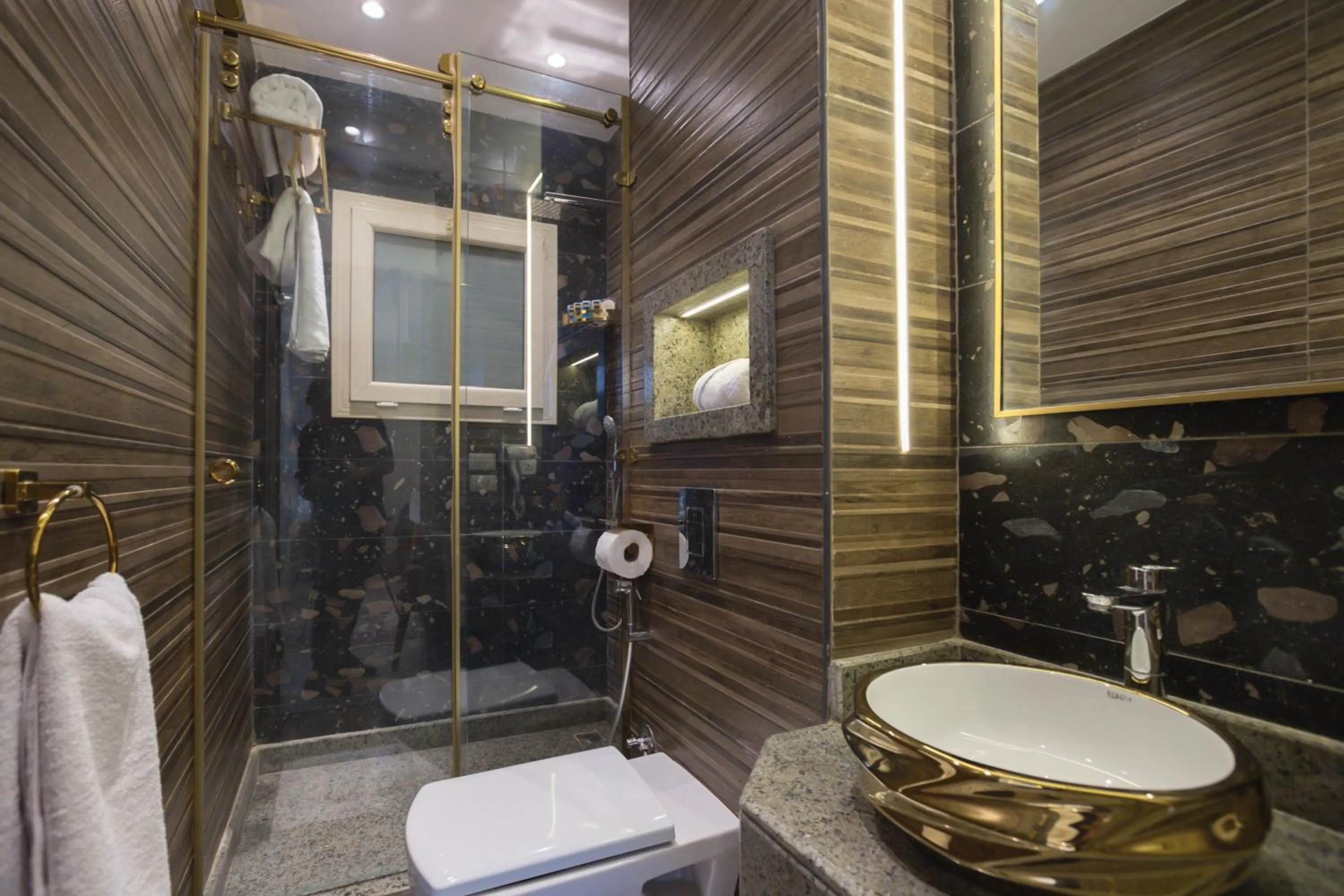 Shower in Pyramids Plateau Hotel