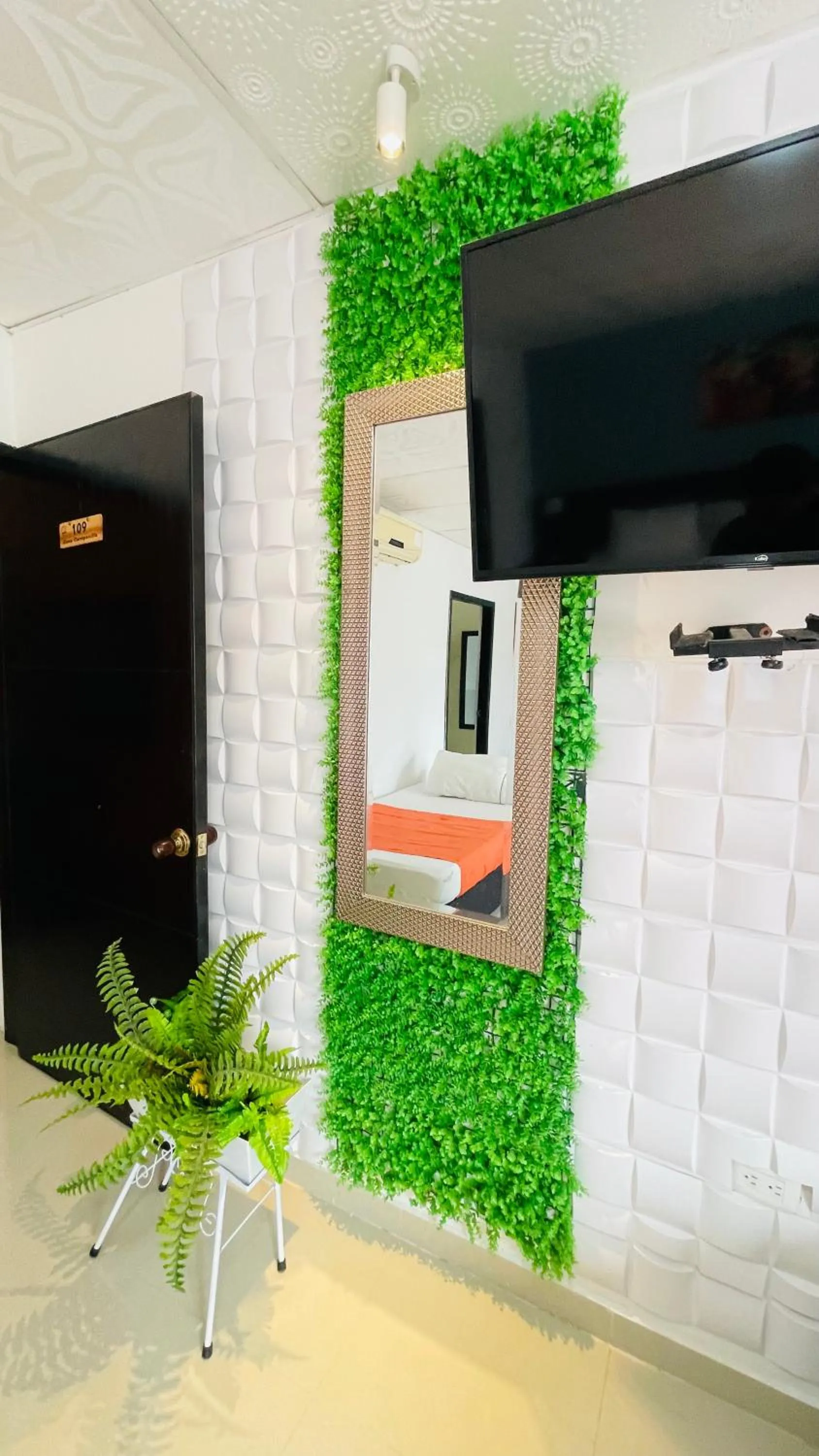 TV and multimedia in Hotel Rosalinda Campestre del Llano