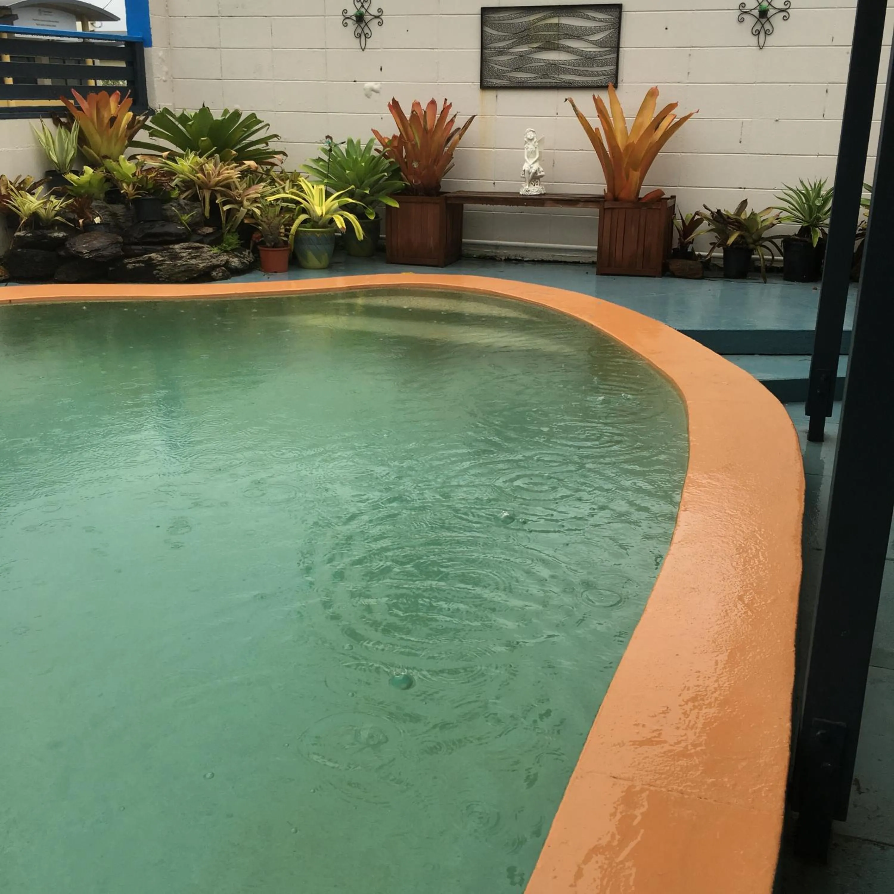 Swimming pool in Black Marlin Motel