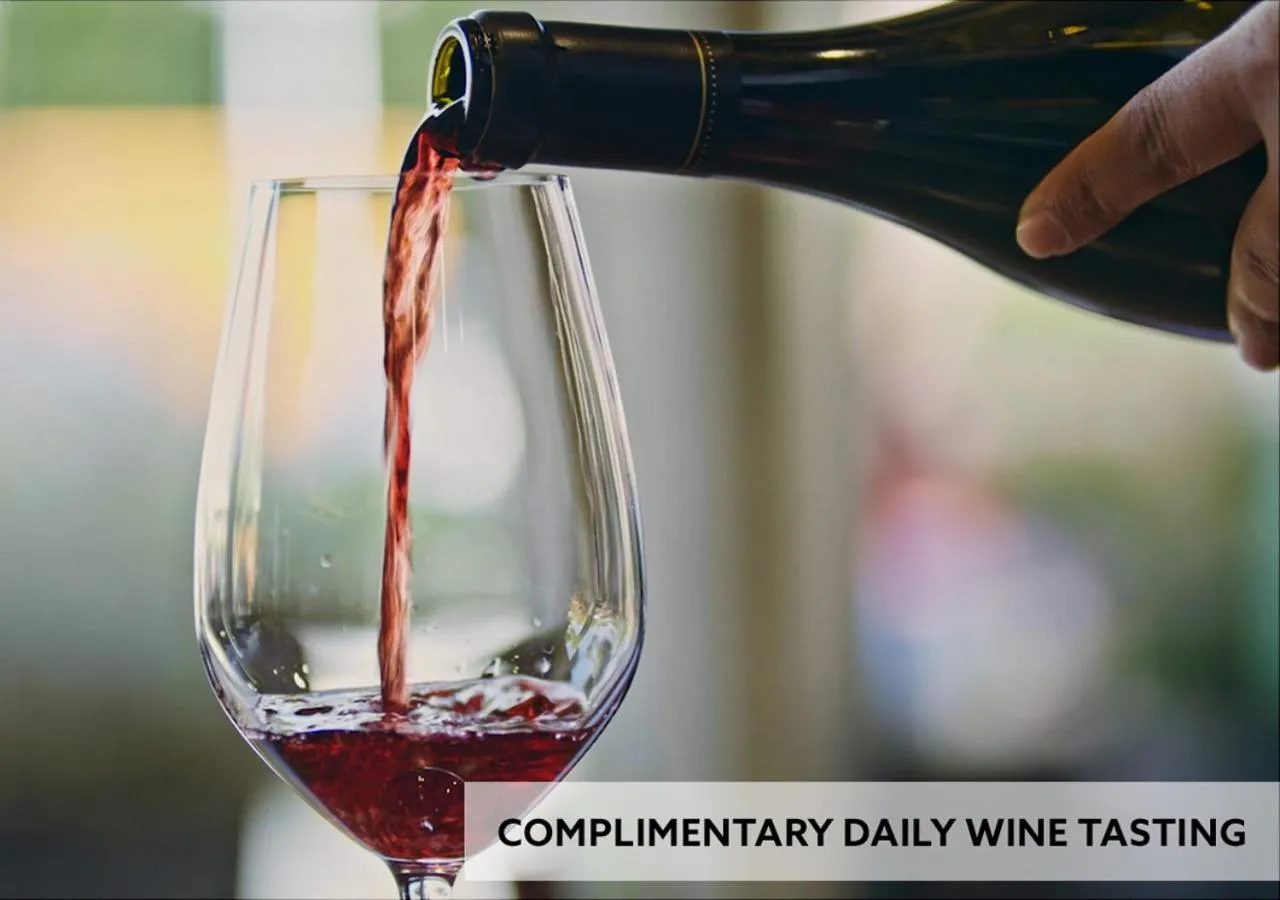 Lounge or bar in The Nest Hotel Palo Alto