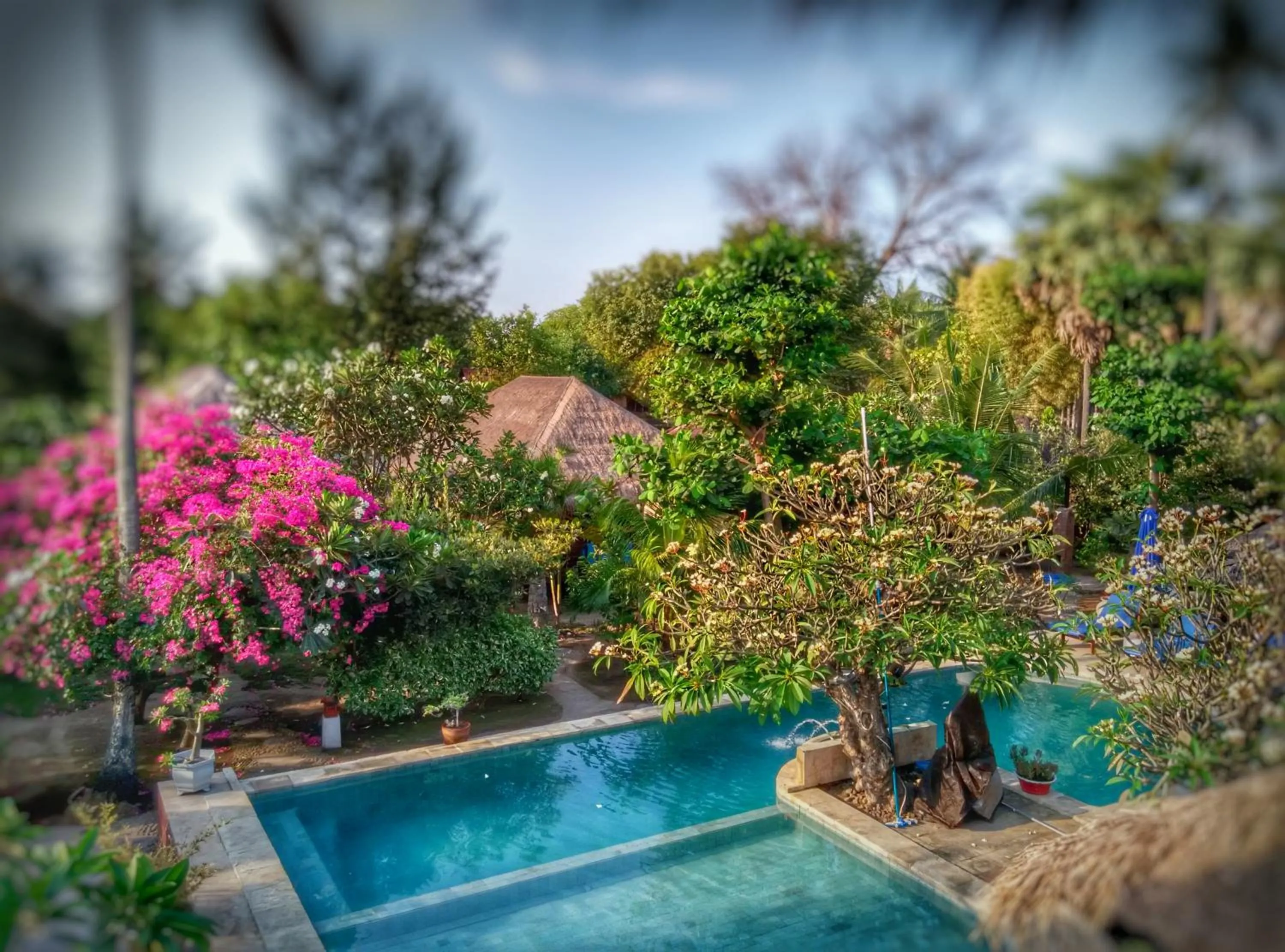 Garden view in Sejuk Cottages