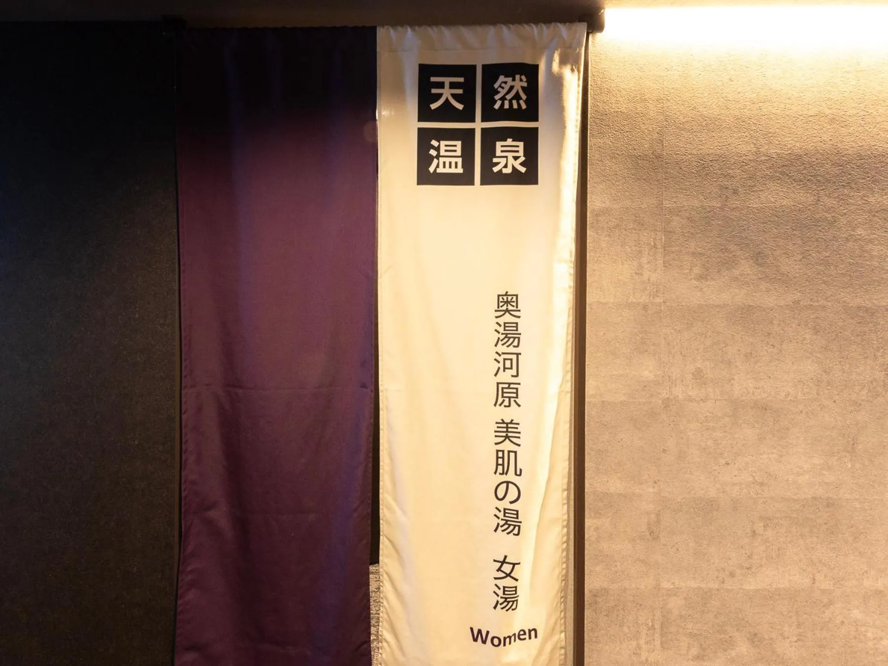 SUPER HOTEL Ikebukuro West Natural Hot Spring