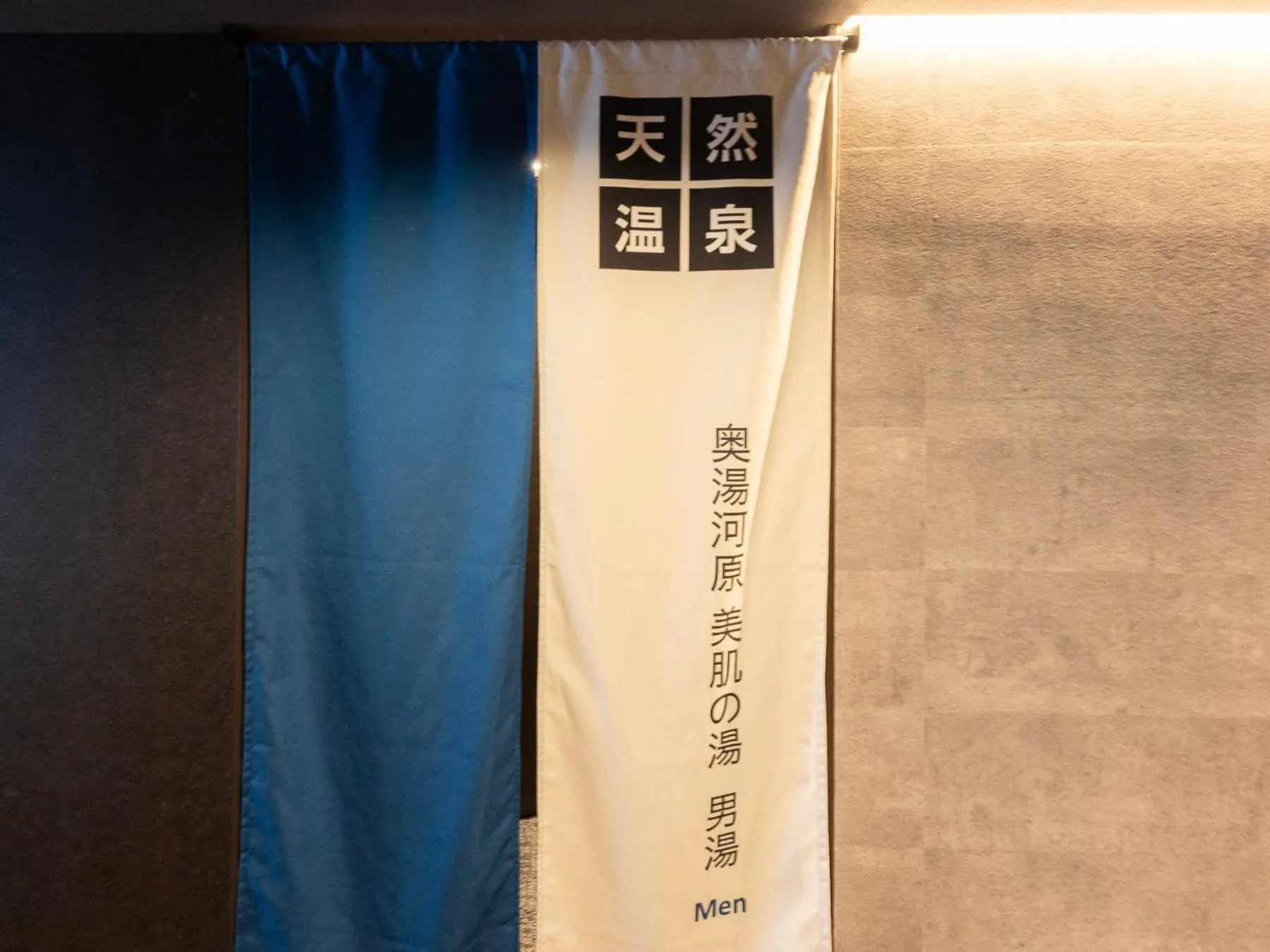 SUPER HOTEL Ikebukuro West Natural Hot Spring