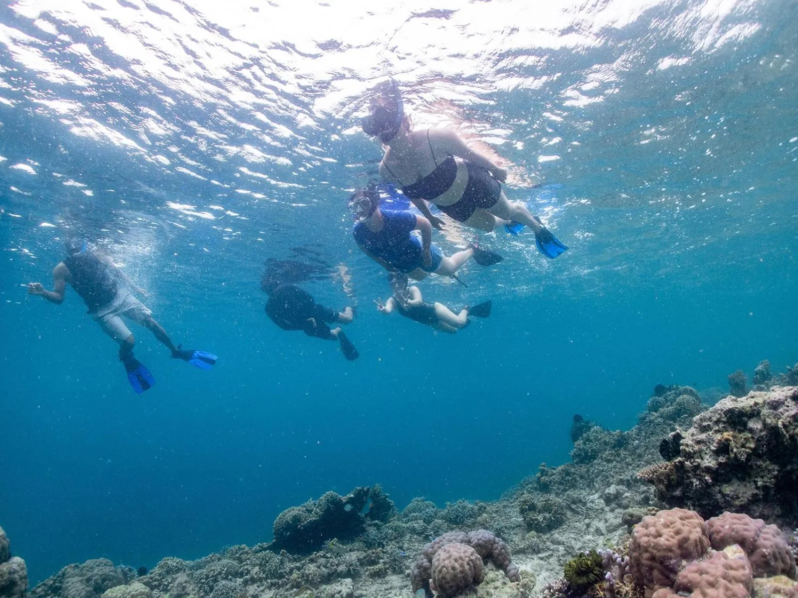 Diving in Sudamala Resort, Seraya, Flores