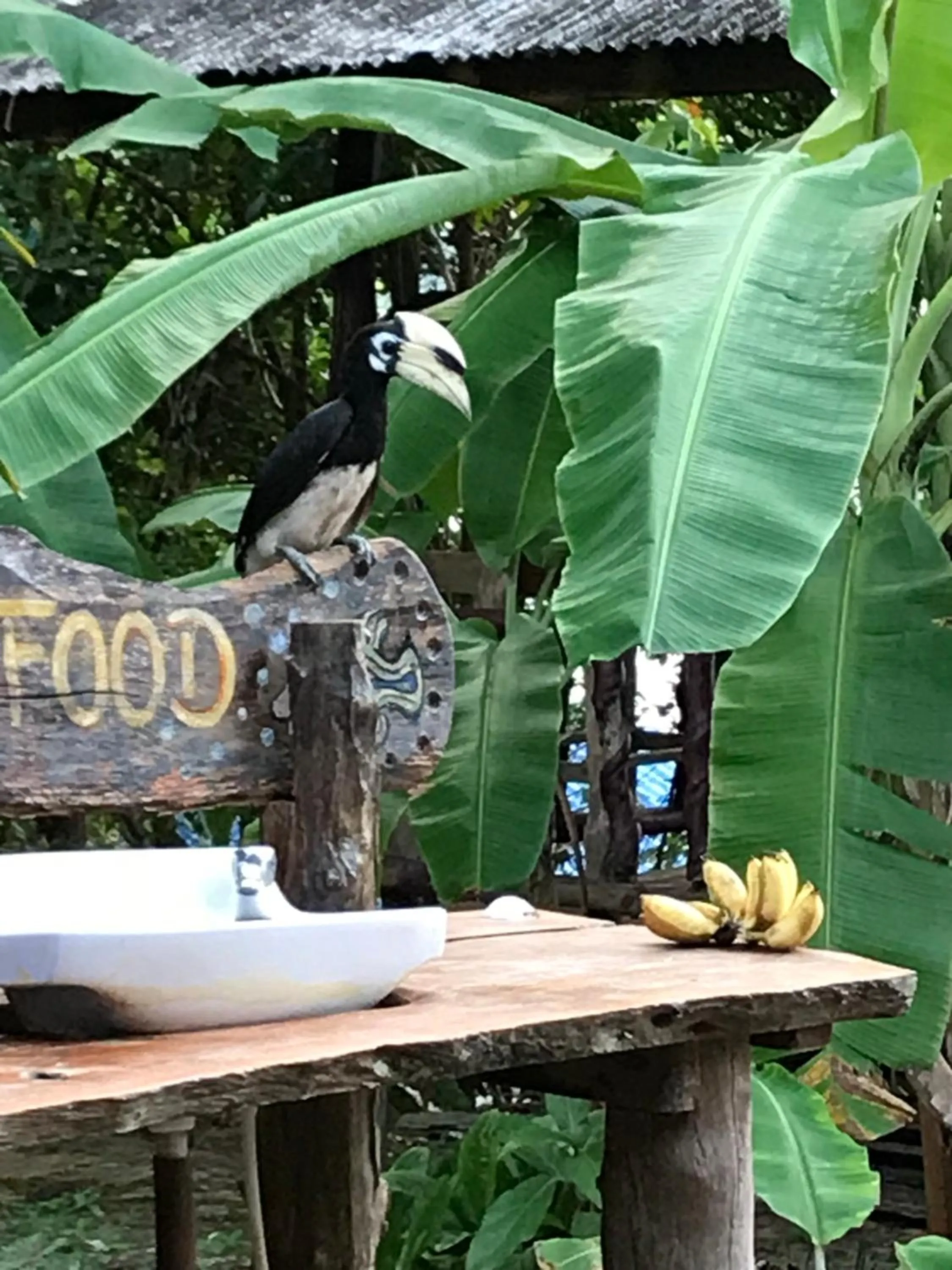 KohChangResortRanong