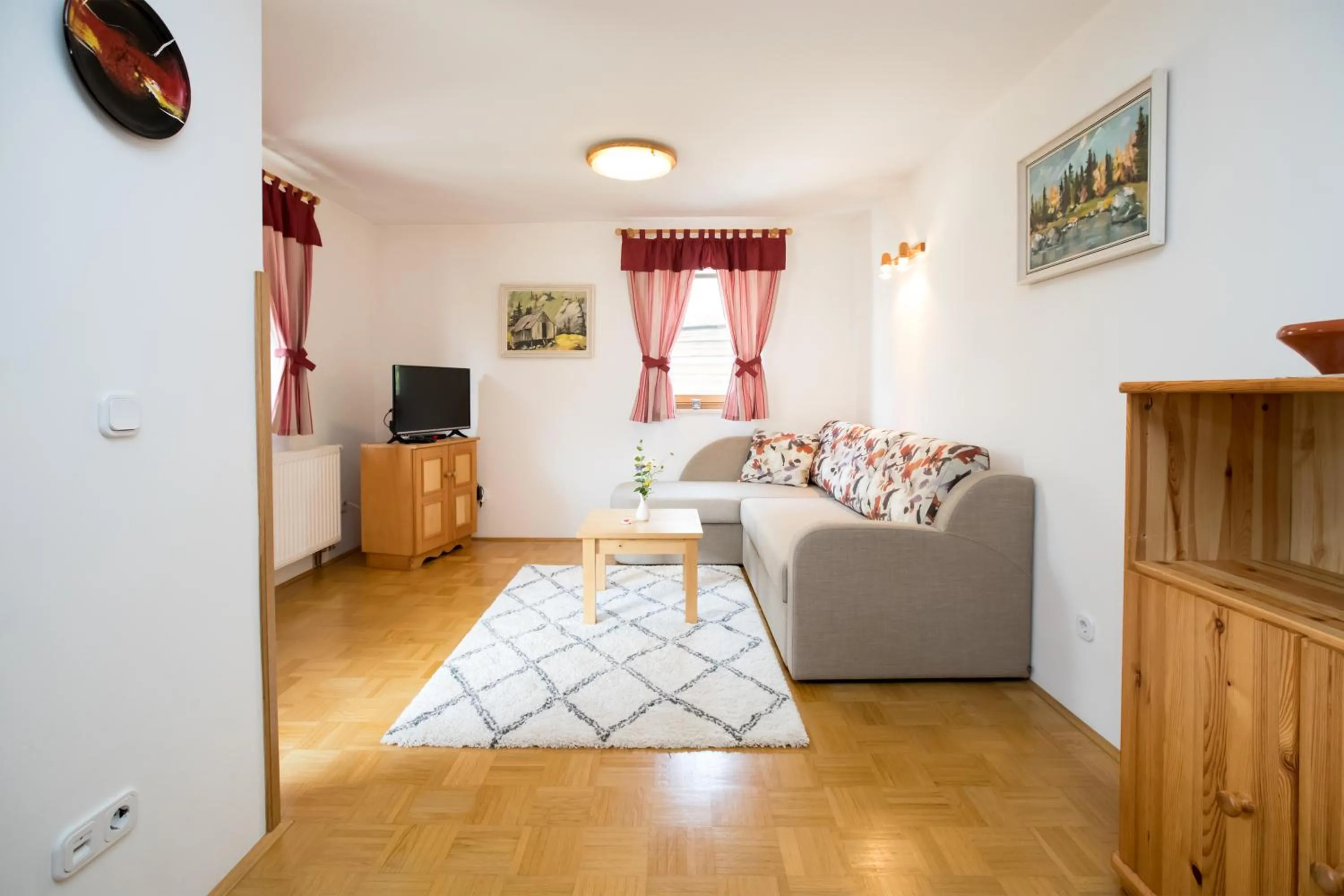 TV and multimedia in Apartmaji Katrnjek
