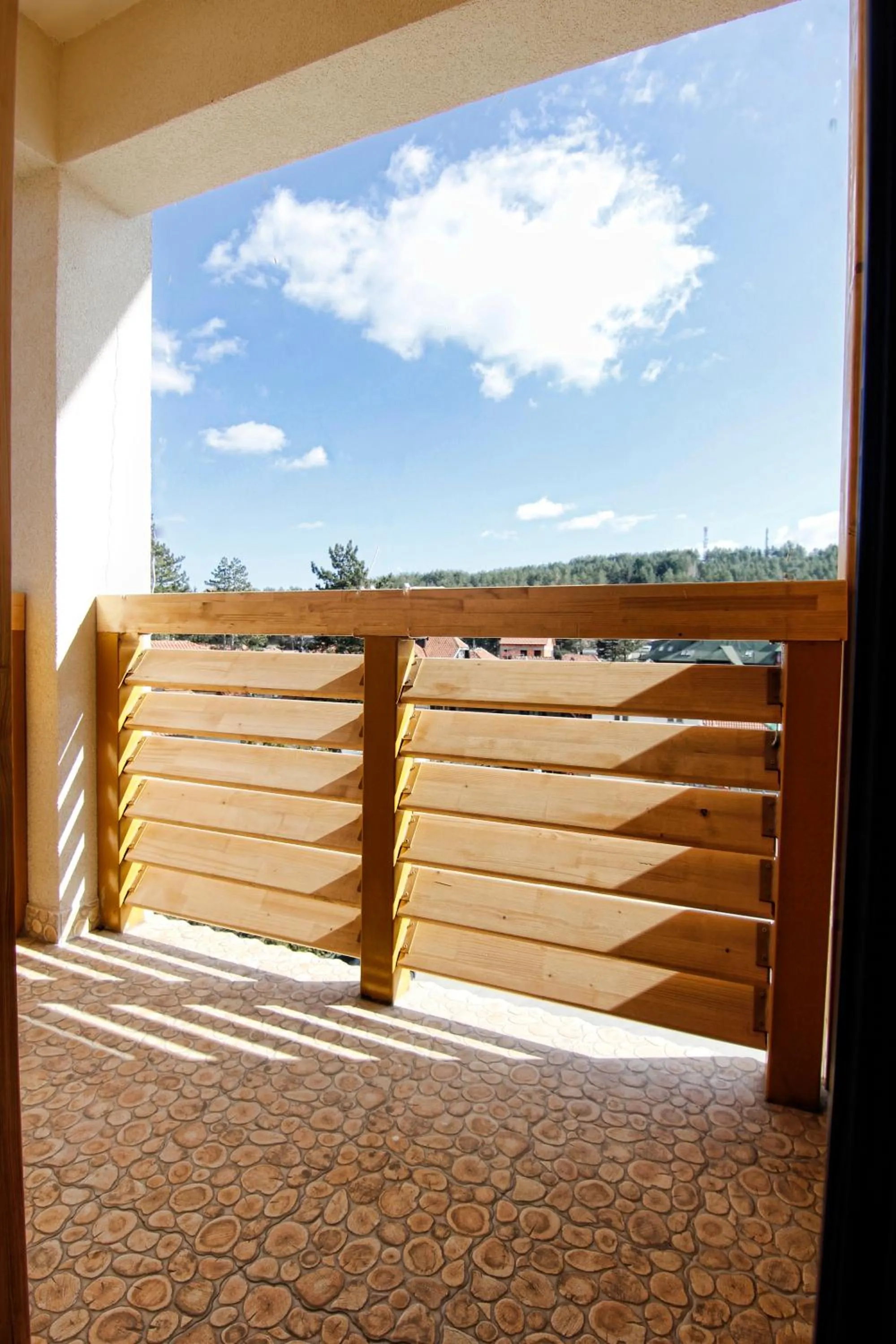 Mountain view in Šišarka Apartmani Zlatibor