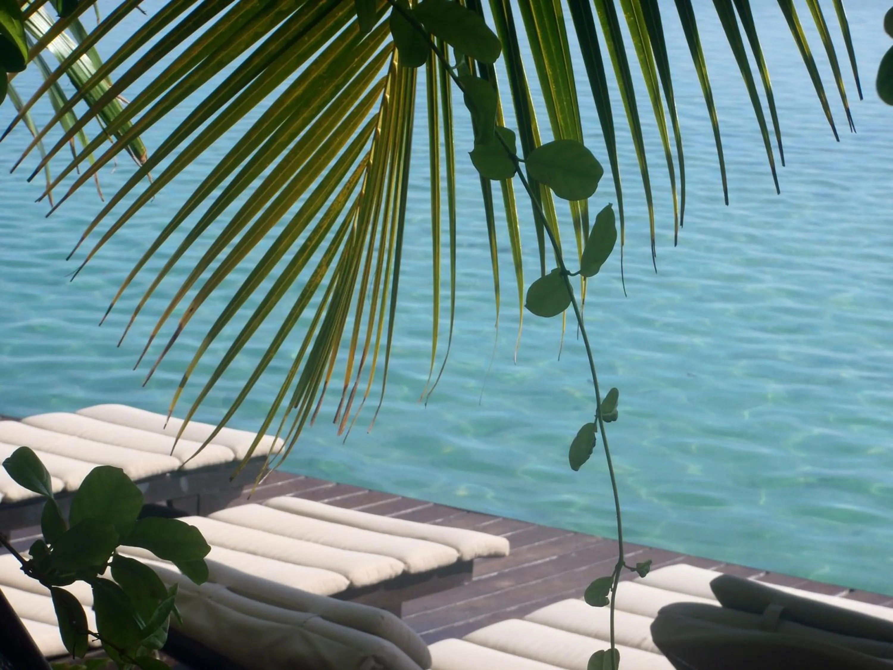 View (from property/room) in Hôtel Fenua Mata'i'oa