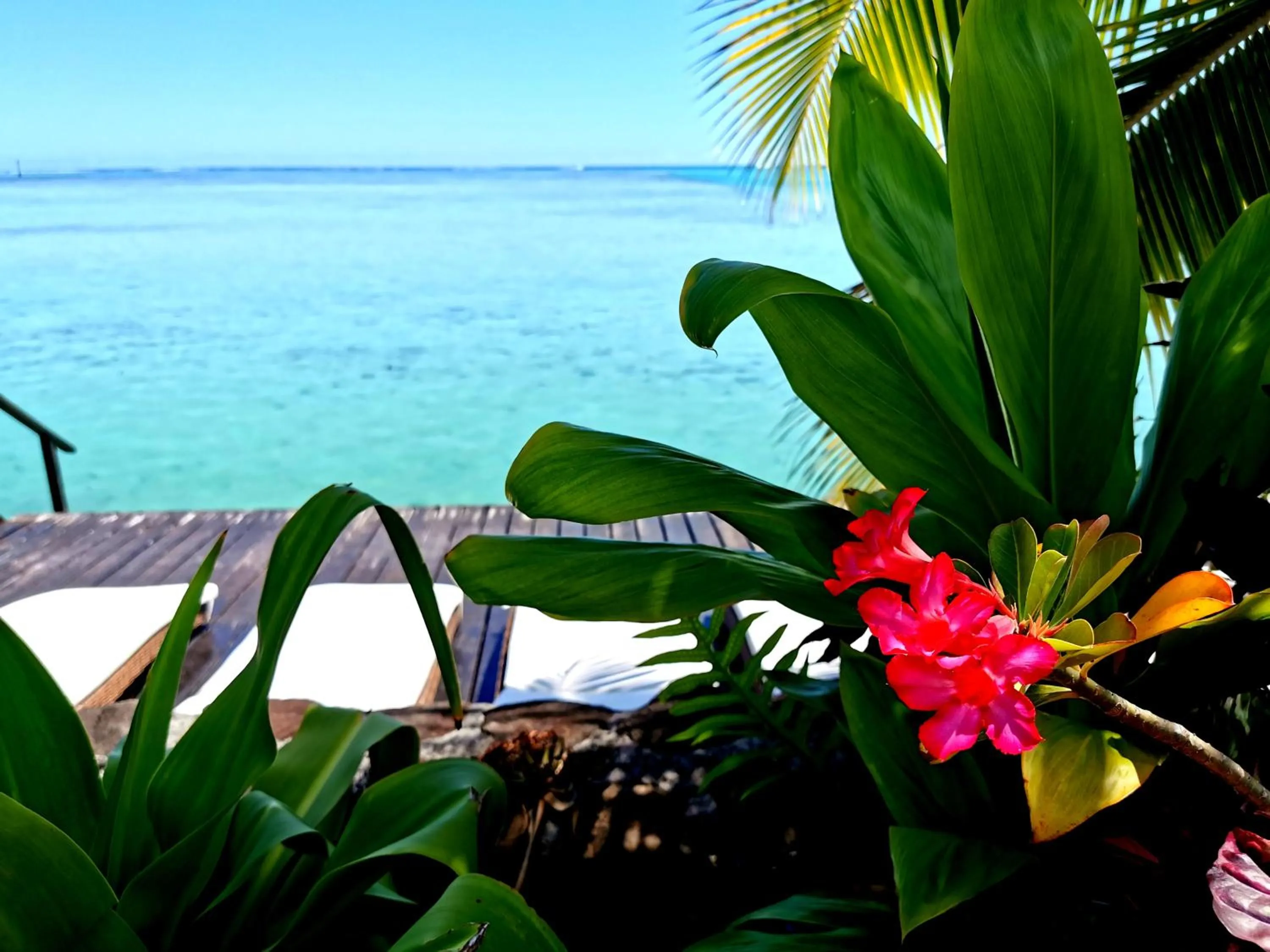 Sea view in Hôtel Fenua Mata'i'oa