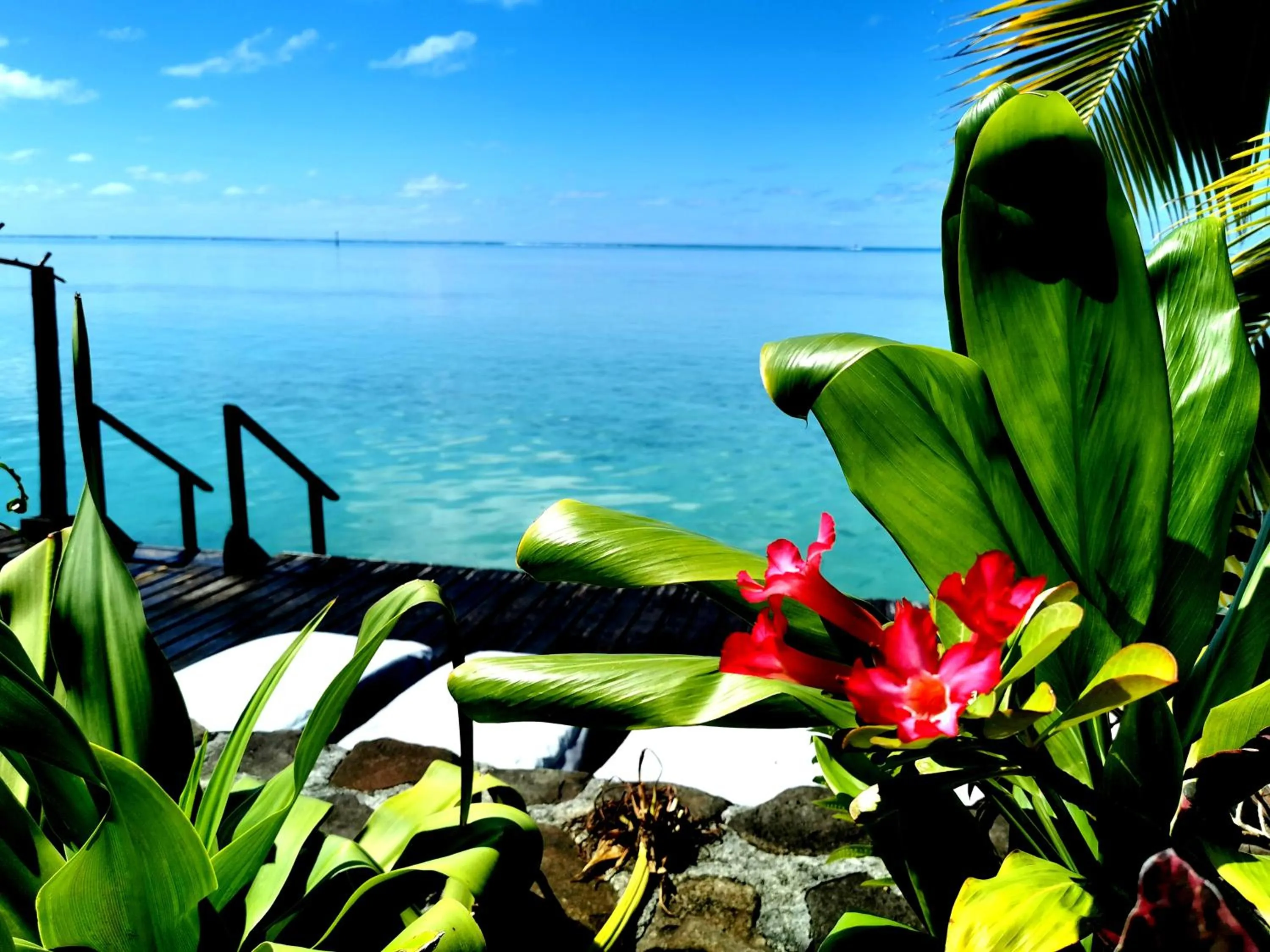 Sea view in Hôtel Fenua Mata'i'oa
