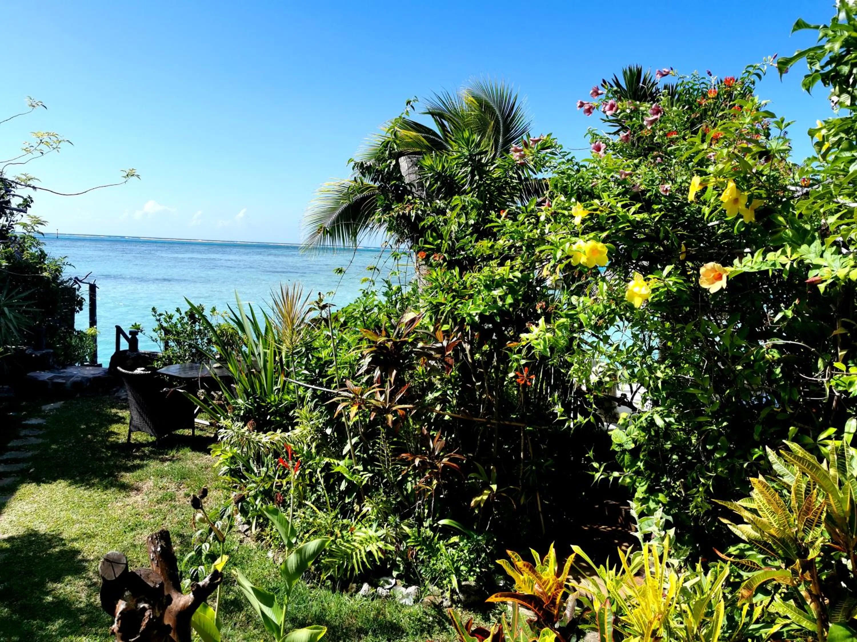 View (from property/room) in Hôtel Fenua Mata'i'oa