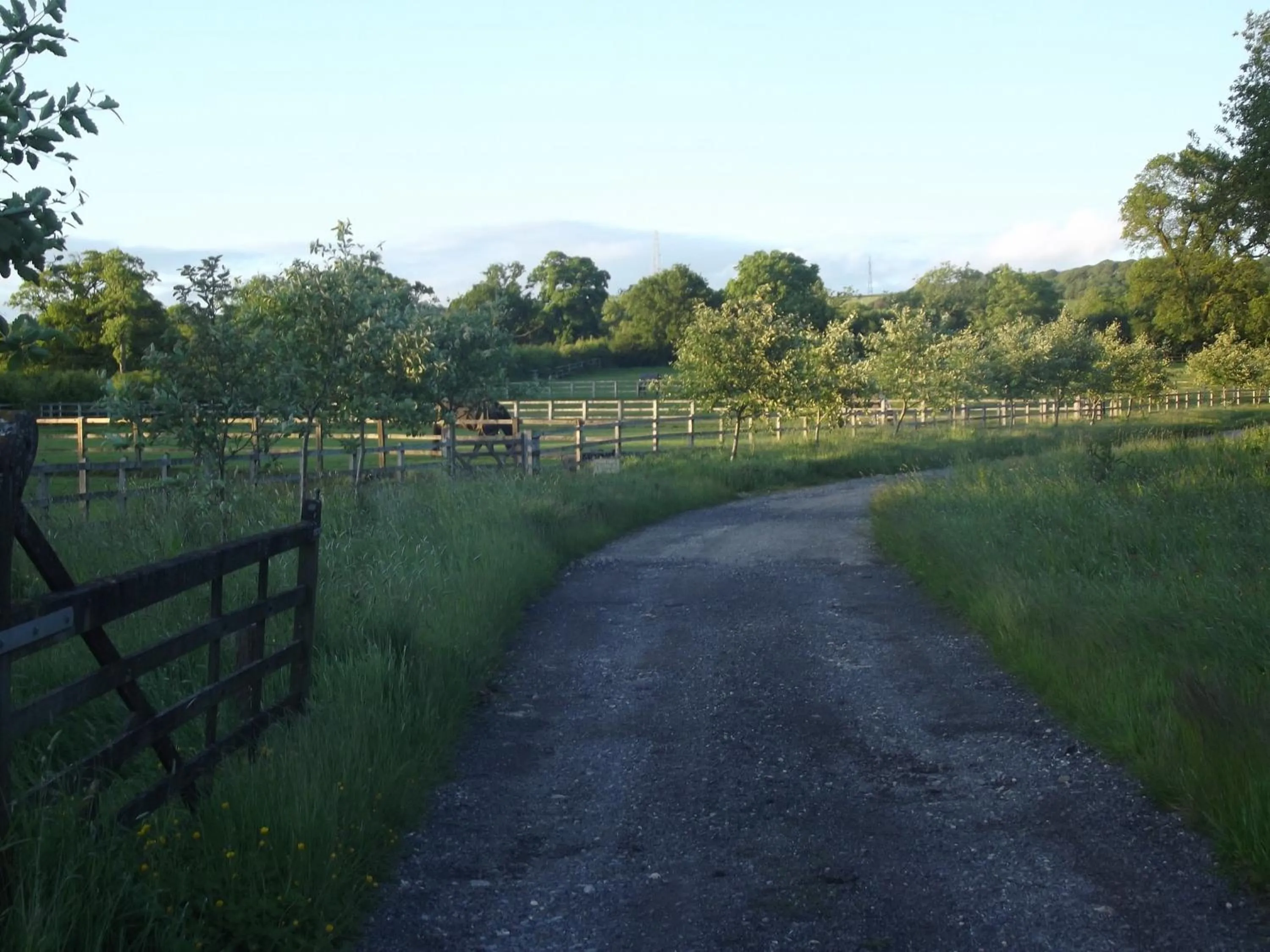 Day in Pleck Barn B&B