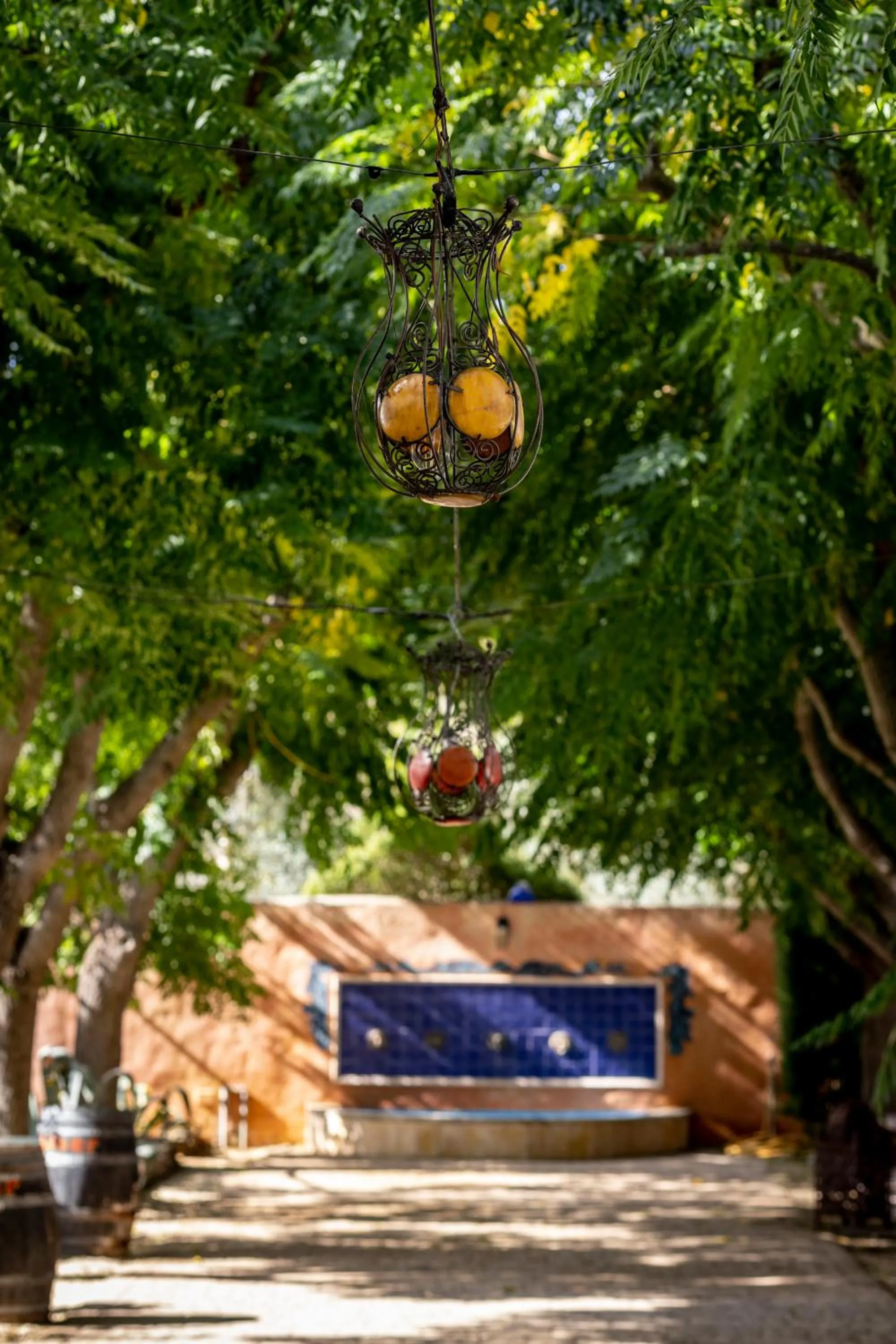 Garden in Paraiso Perdido