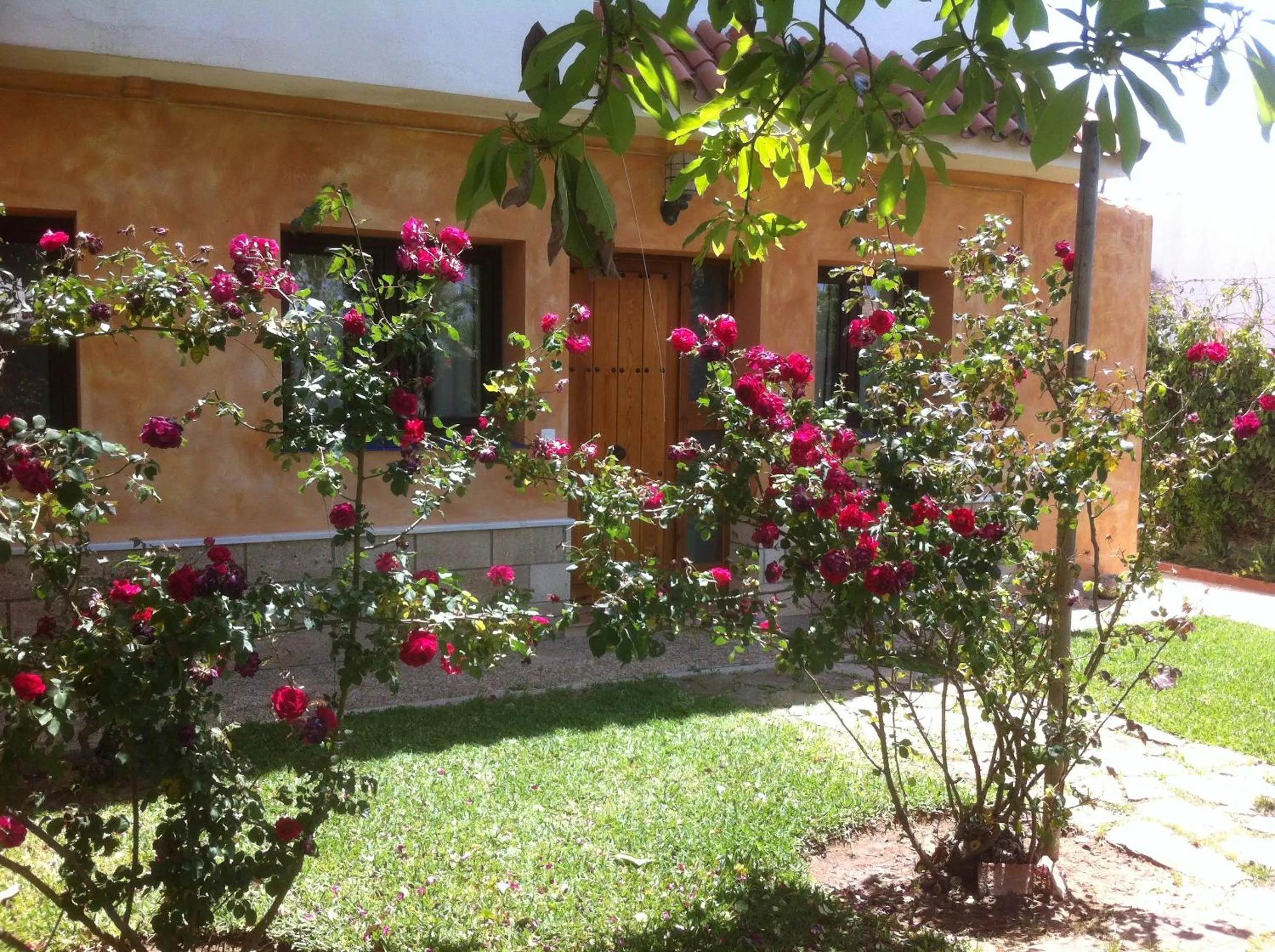 Day in Paraiso Perdido