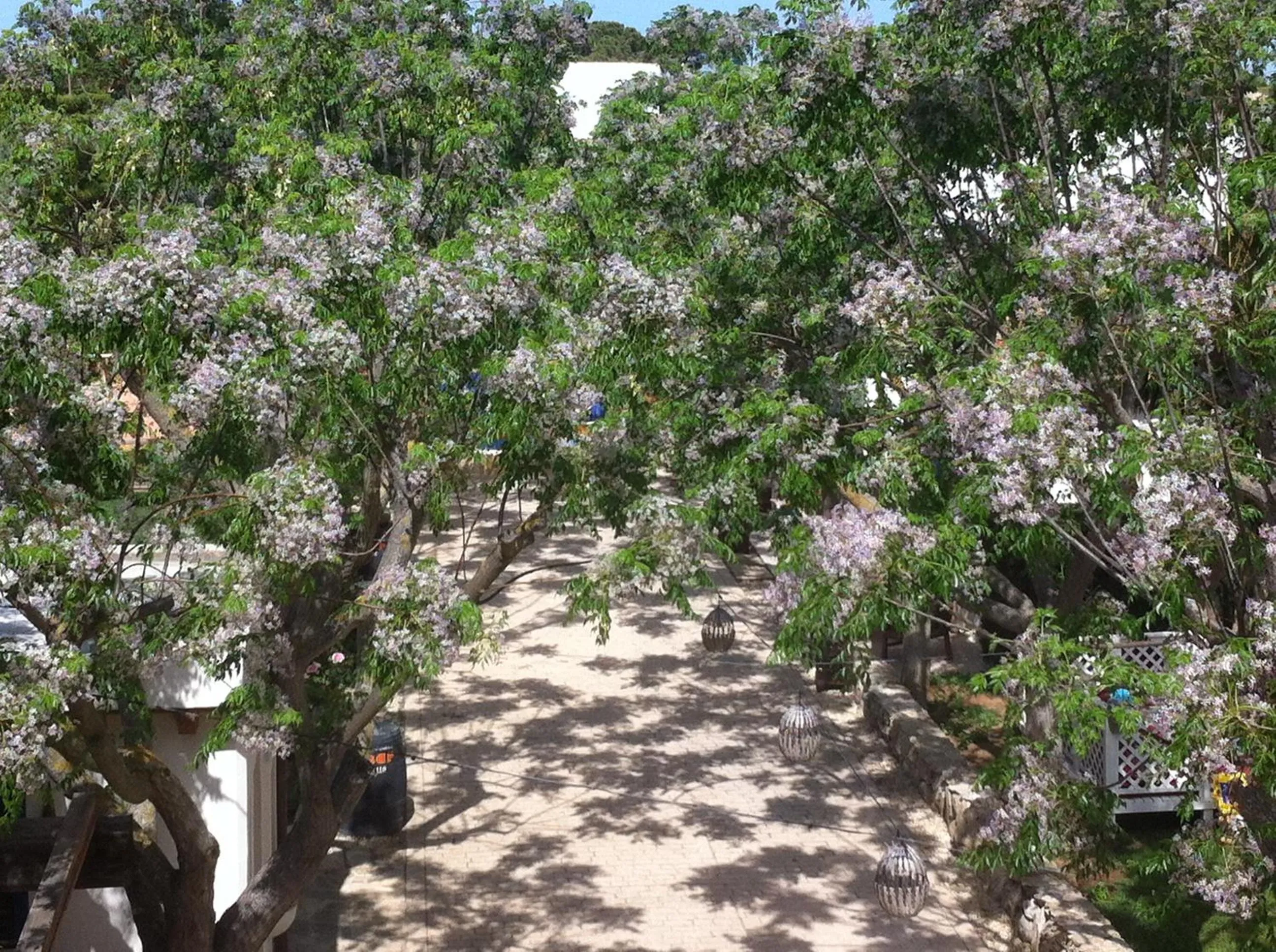 Garden in Paraiso Perdido