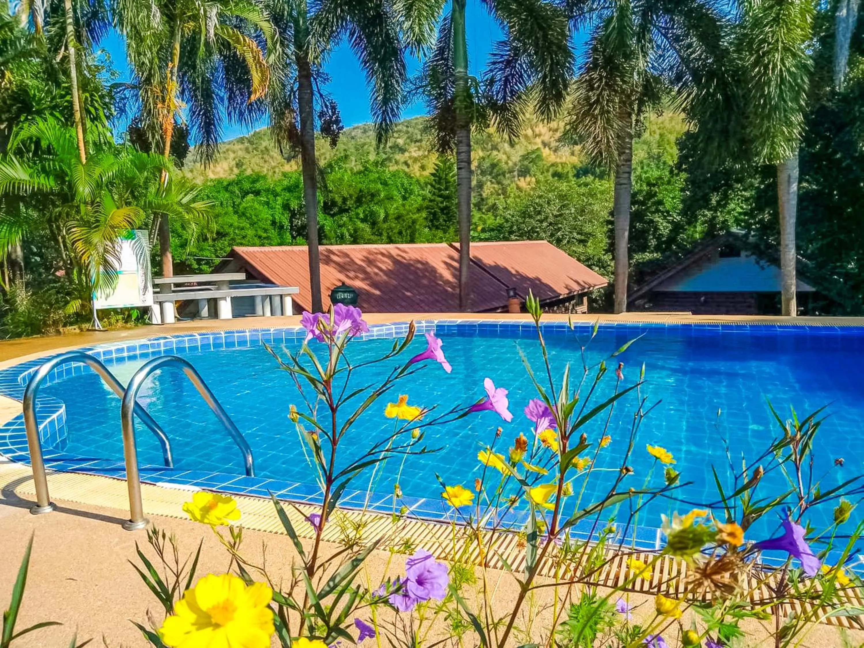Spring in Saitharn Iyara Resort