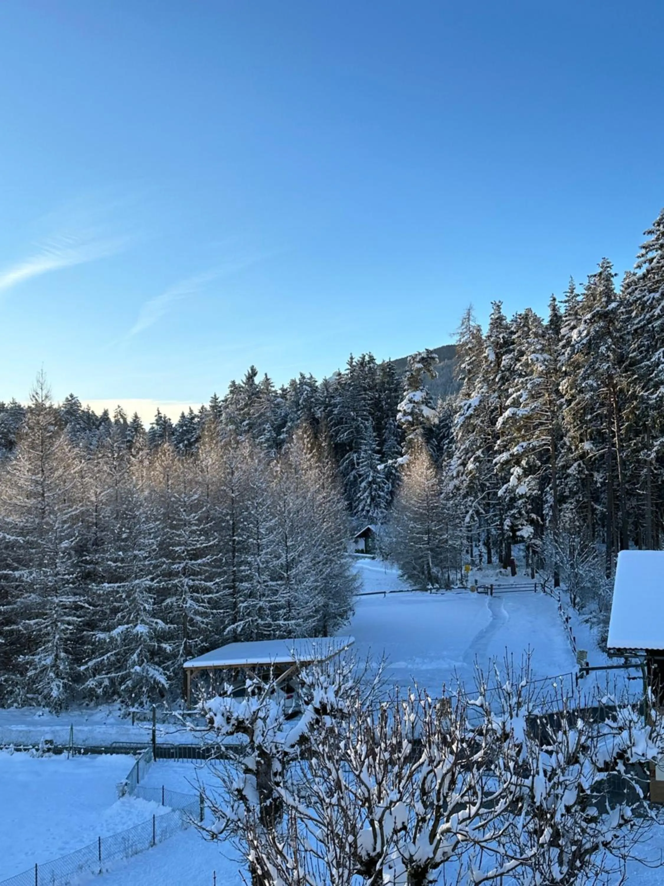 Day in Landhotel Gasthof Eichhof Natters