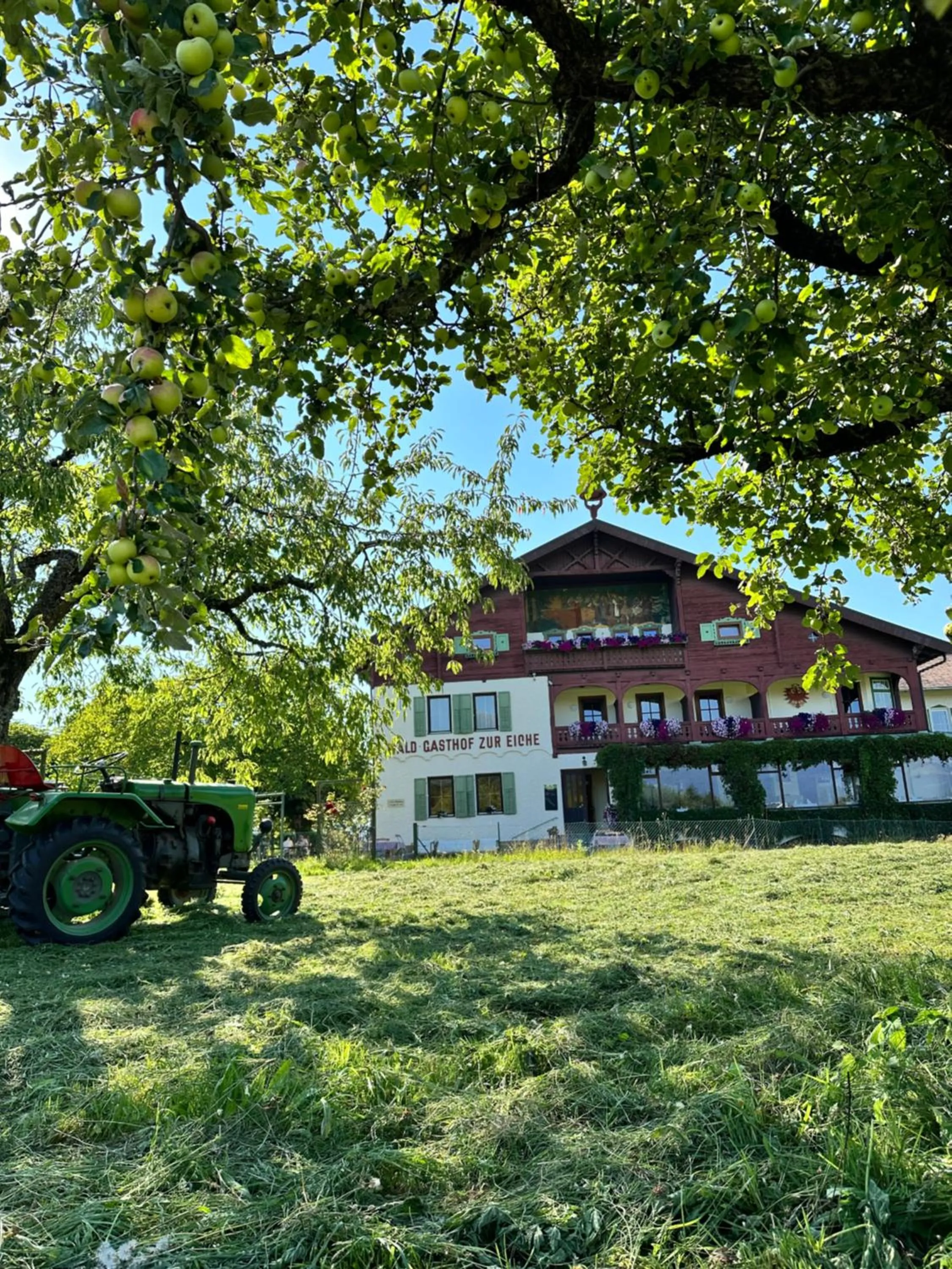 Property building in Landhotel Gasthof Eichhof Natters