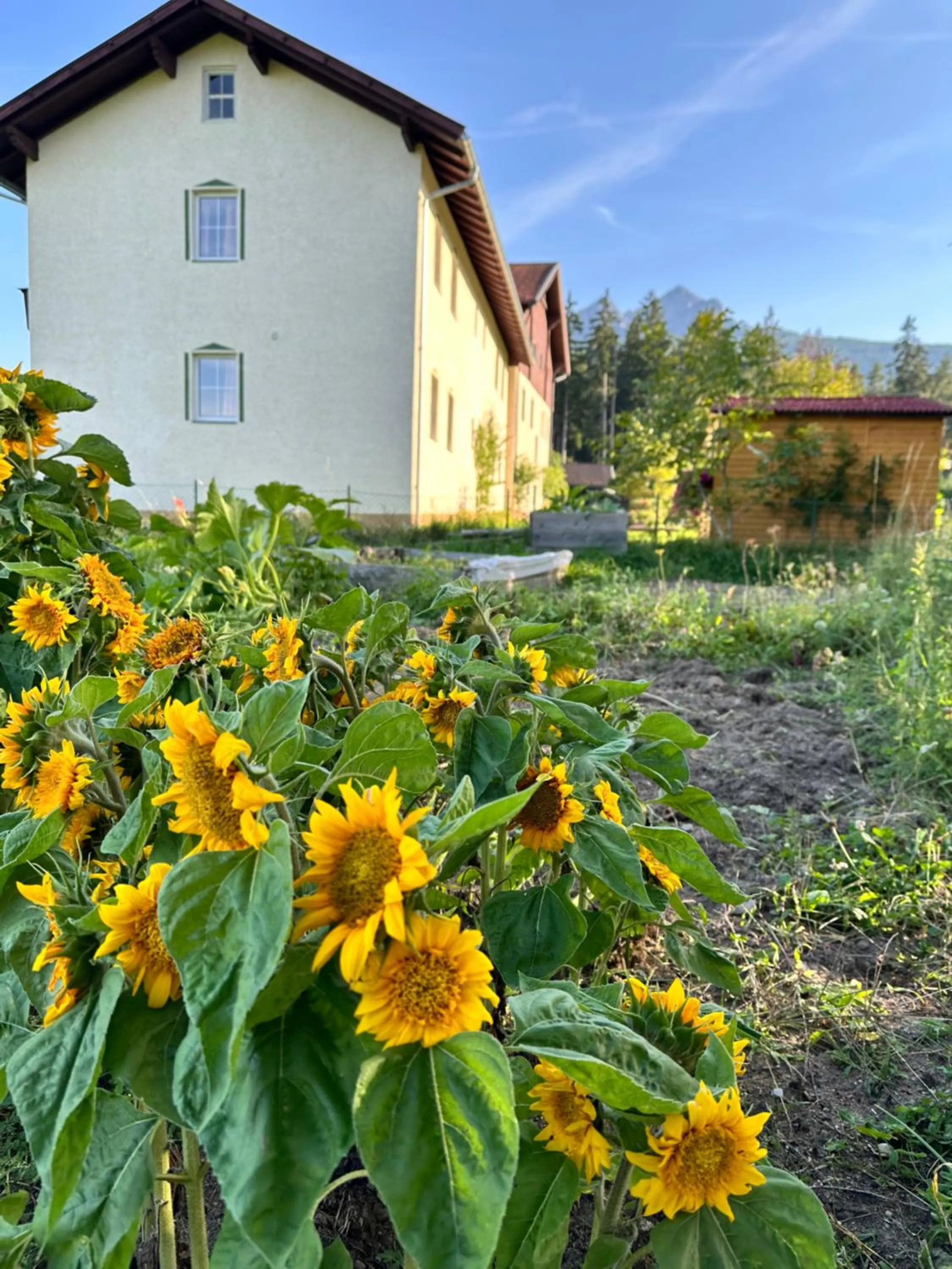 Property building in Landhotel Gasthof Eichhof Natters