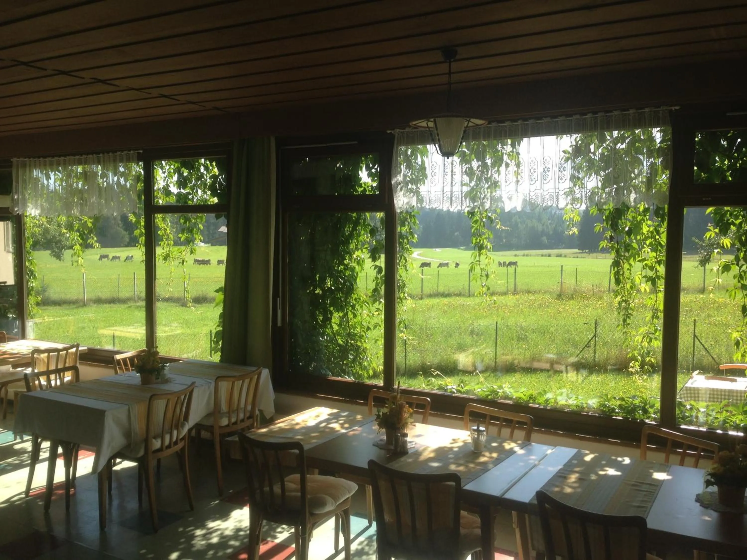 Restaurant/places to eat in Landhotel Gasthof Eichhof Natters