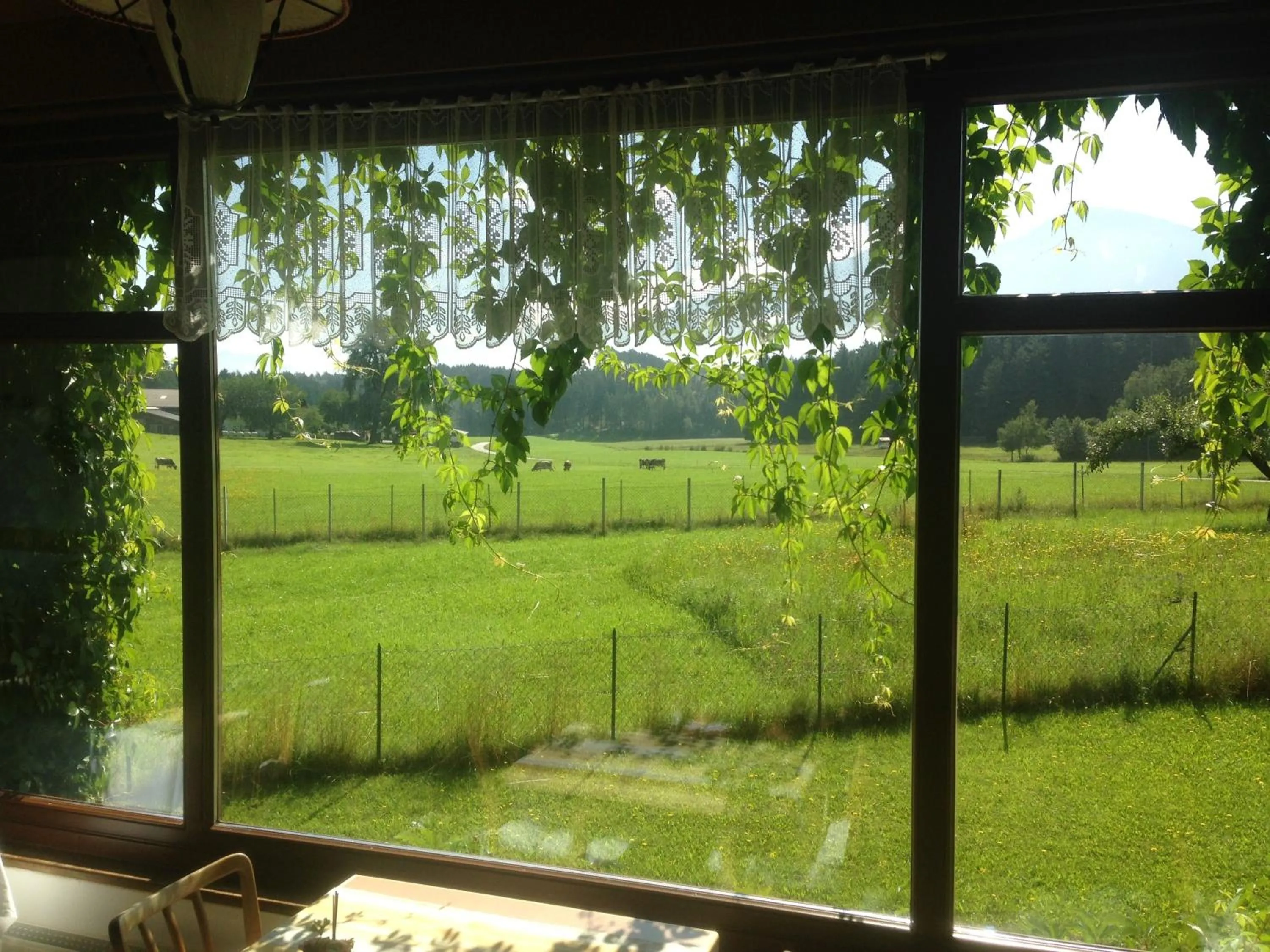 Restaurant/places to eat in Landhotel Gasthof Eichhof Natters
