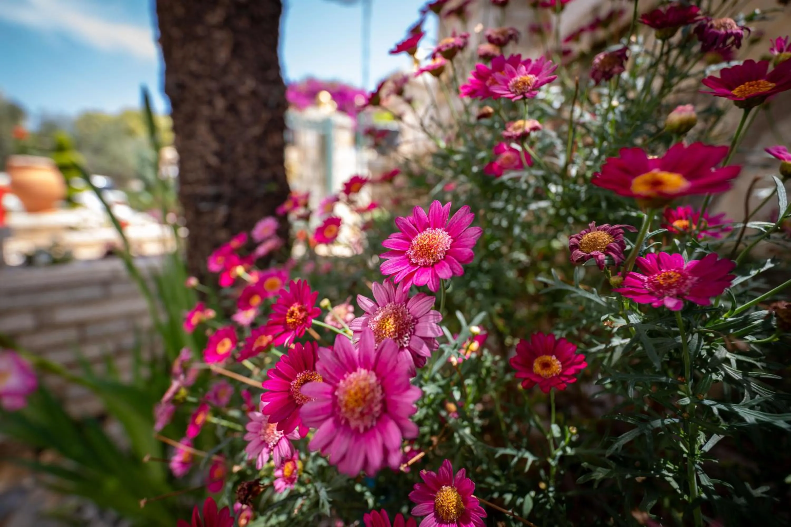 Spring in Vila Vasili