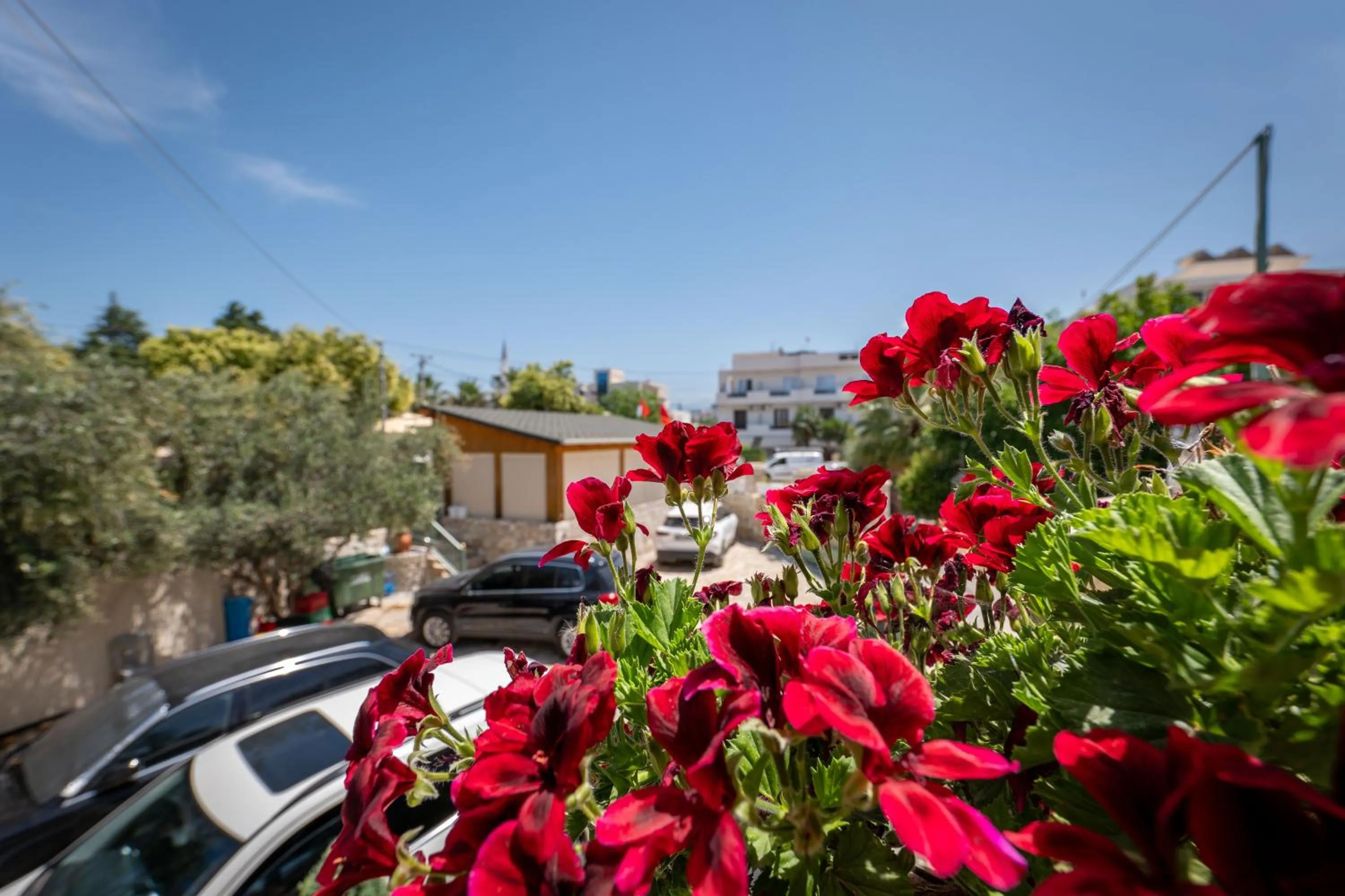 Spring in Vila Vasili