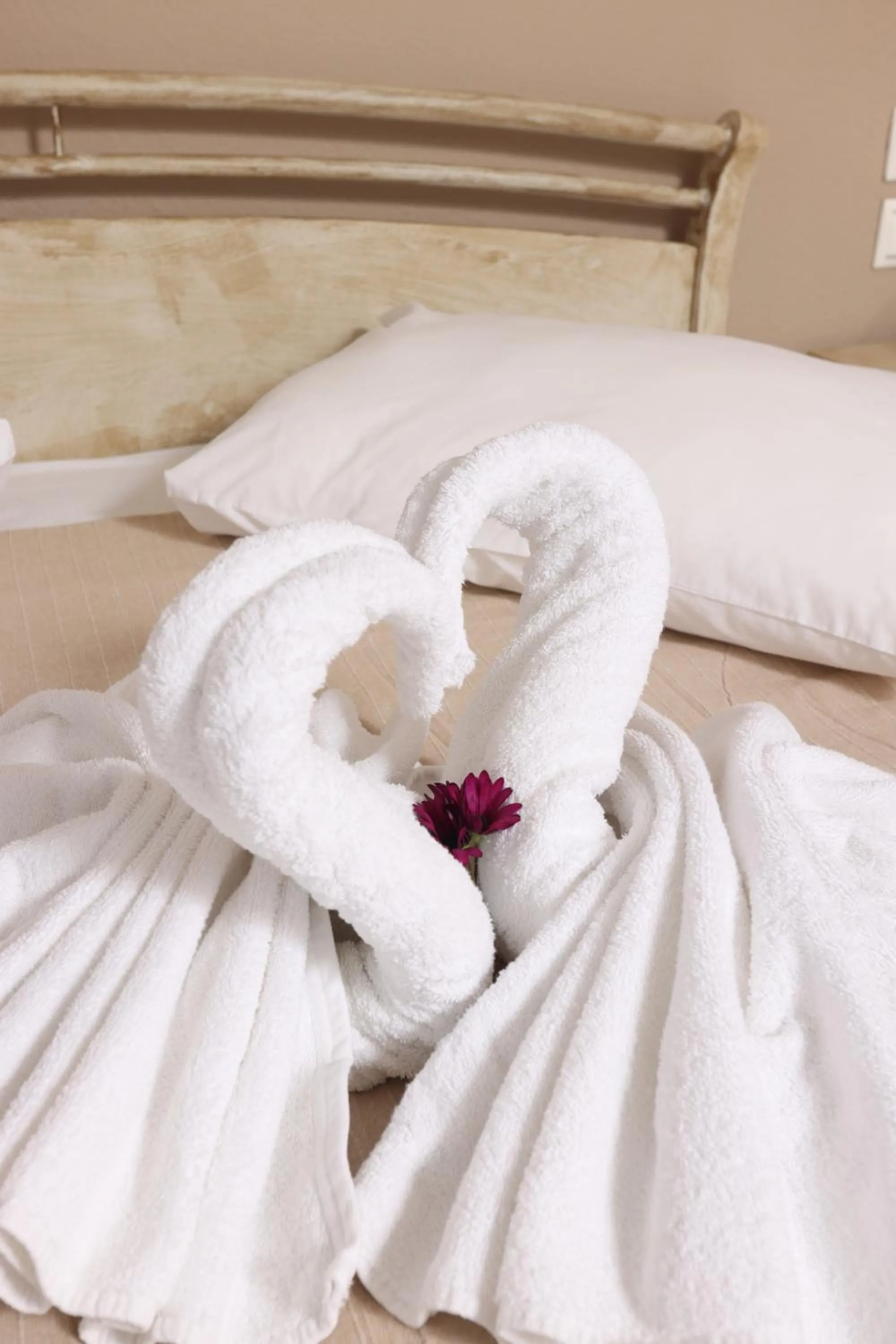 Decorative detail in Summer Dream Hotel