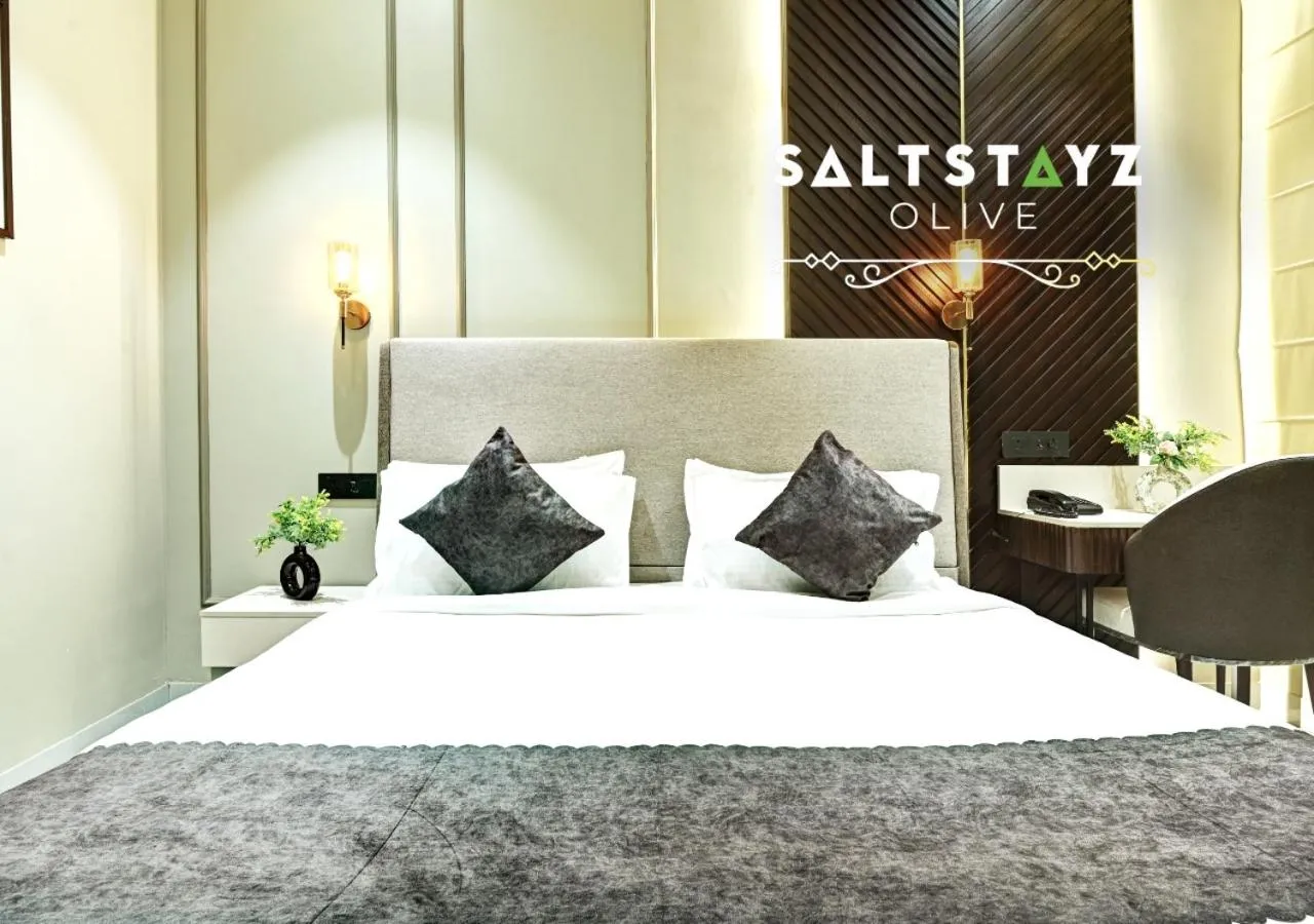 Bed in Saltstayz Select - Pitampura