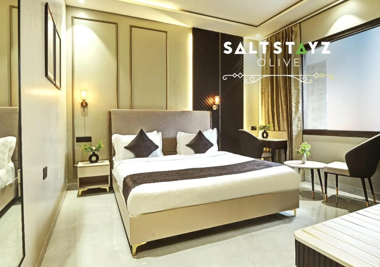 Bed in Saltstayz Select - Pitampura