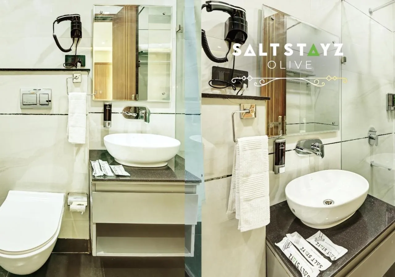 Shower in Saltstayz Select - Pitampura