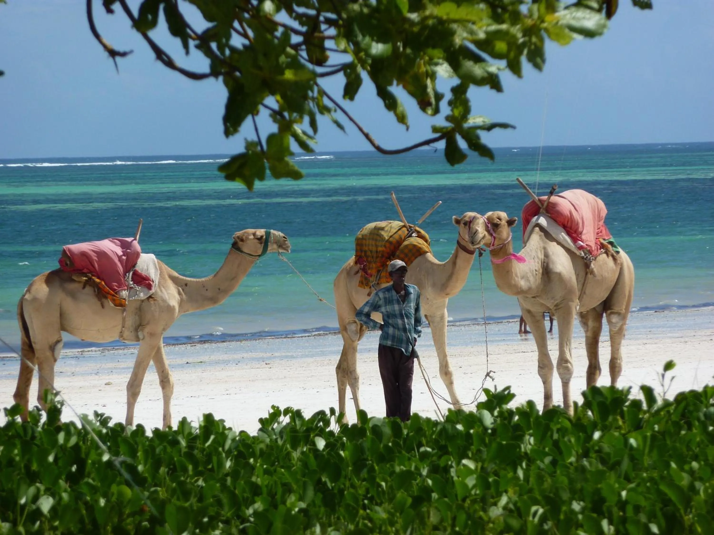 Activities in Lantana Galu Beach
