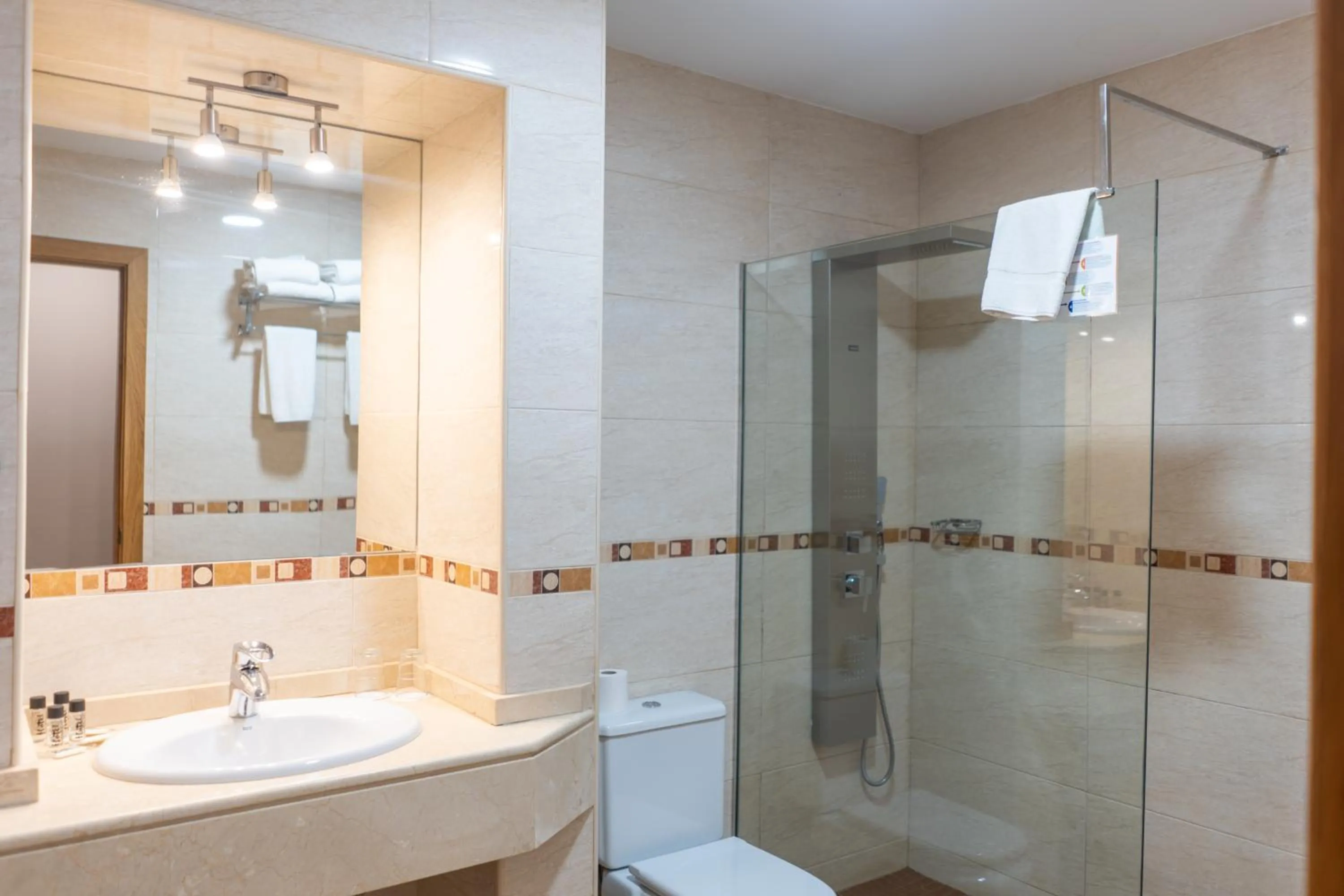 Bathroom in Plaza Alaquas