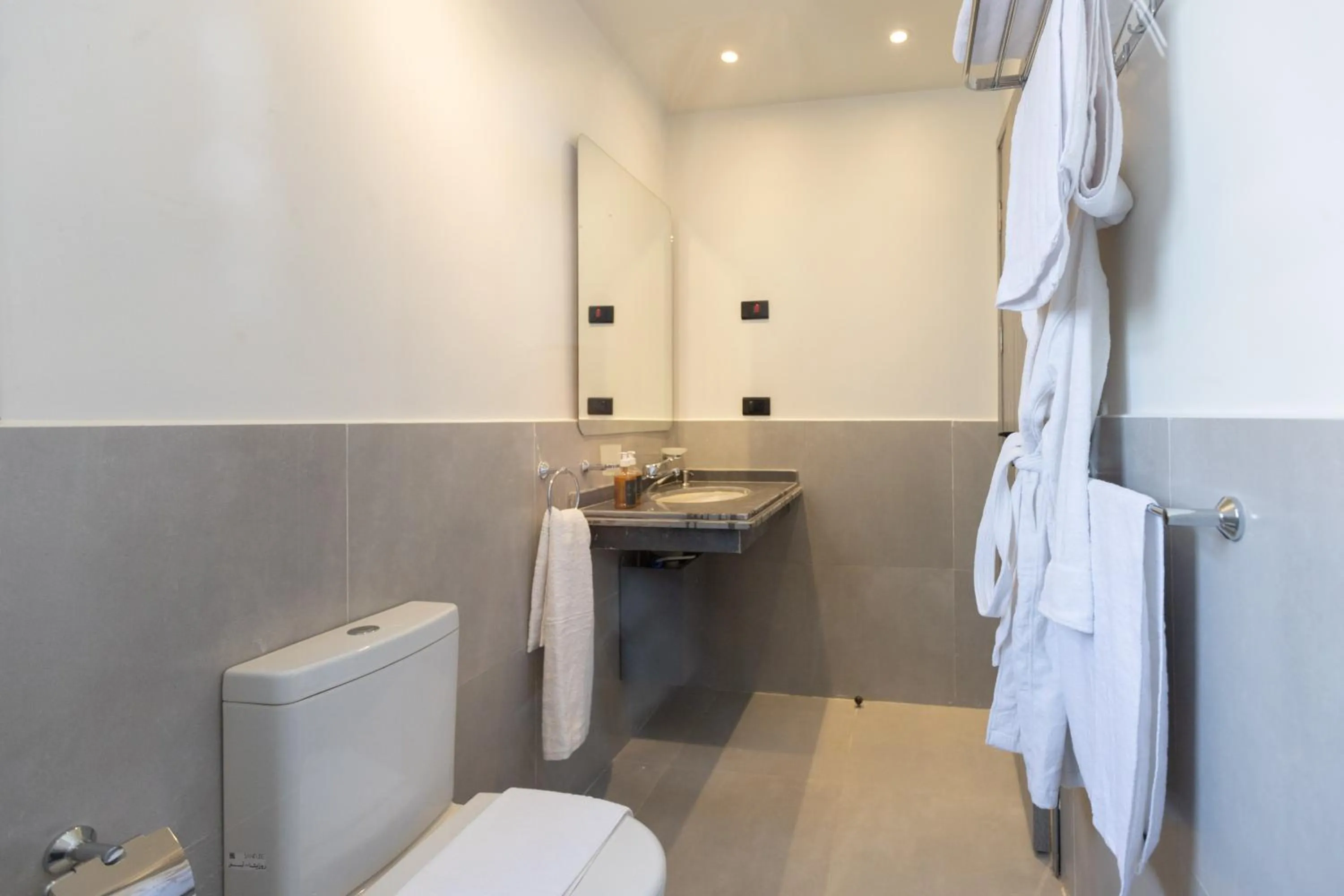 Toilet in Seven Stays Zayed