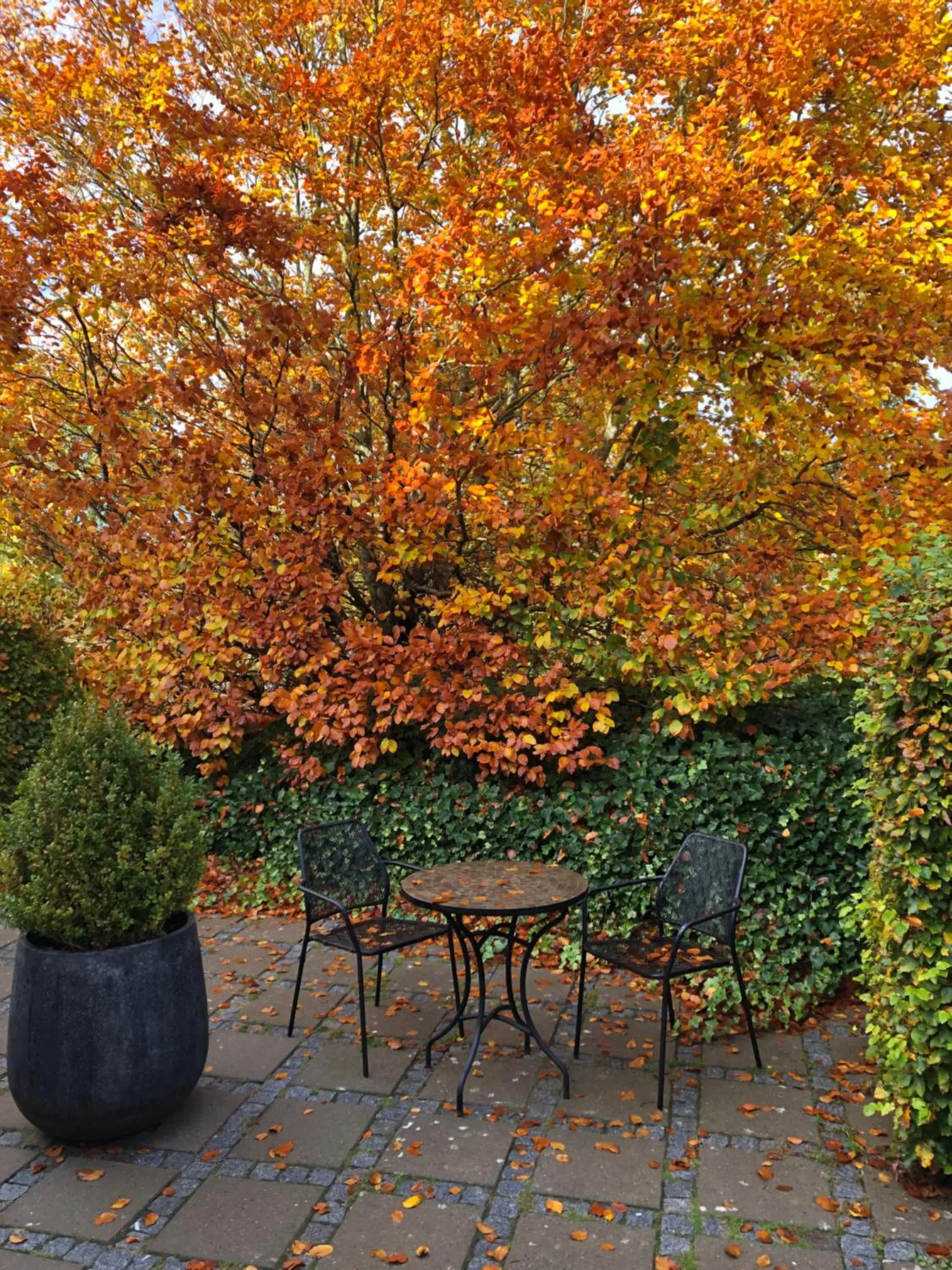 Balcony/Terrace in Helts B&B - Helts Guesthouse