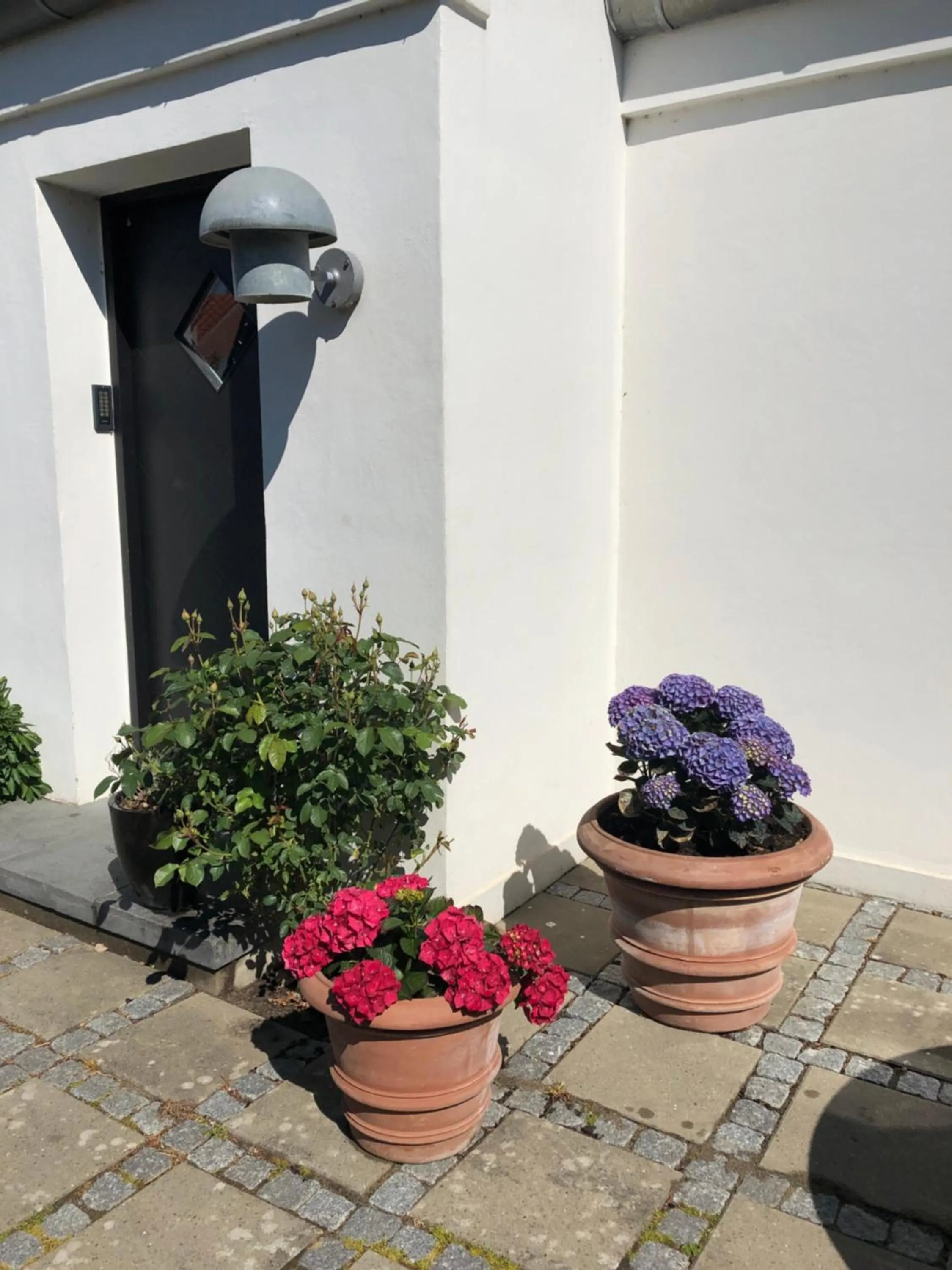 Patio in Helts B&B - Helts Guesthouse