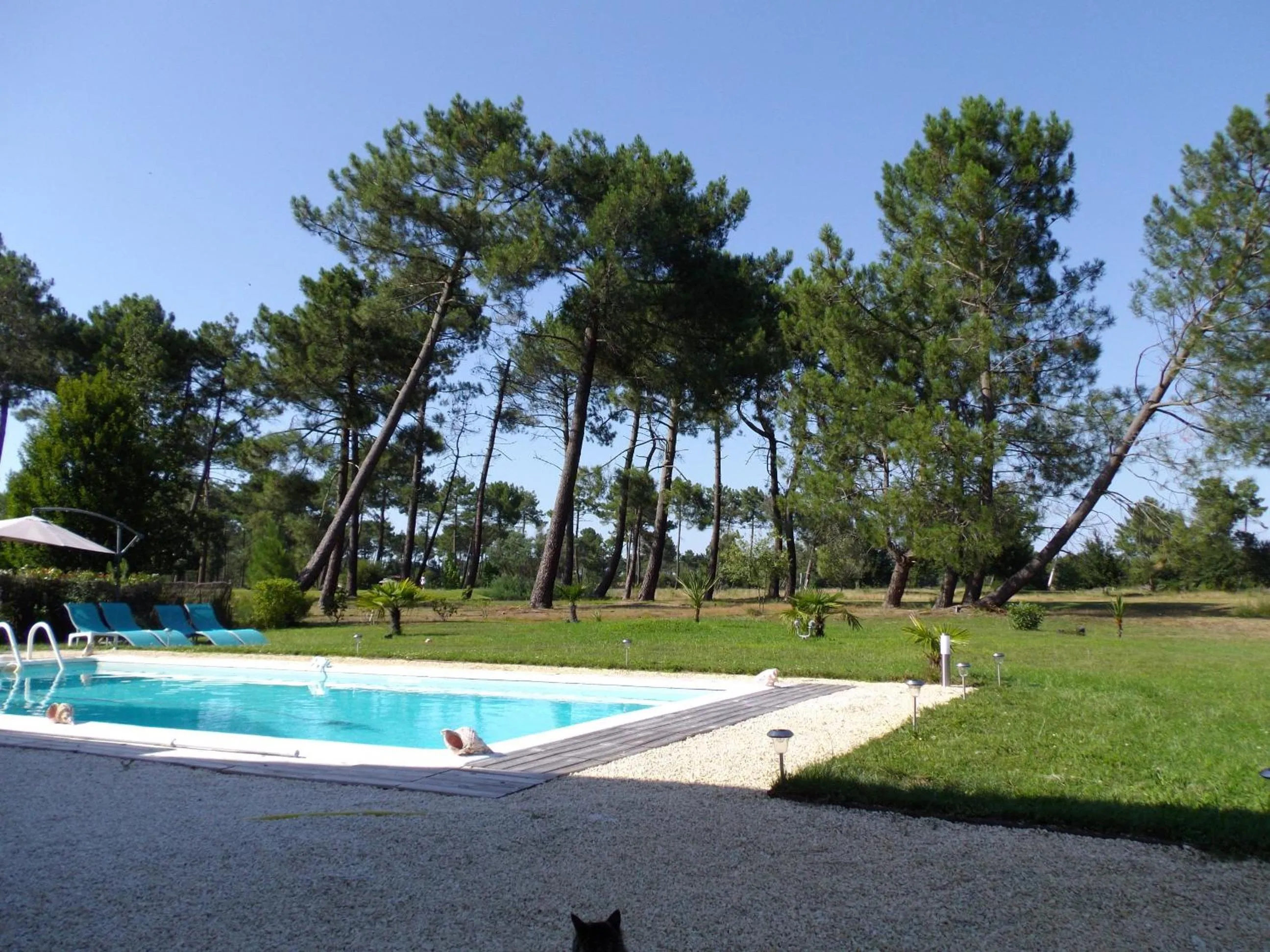 Garden view in Villa Saint Barth