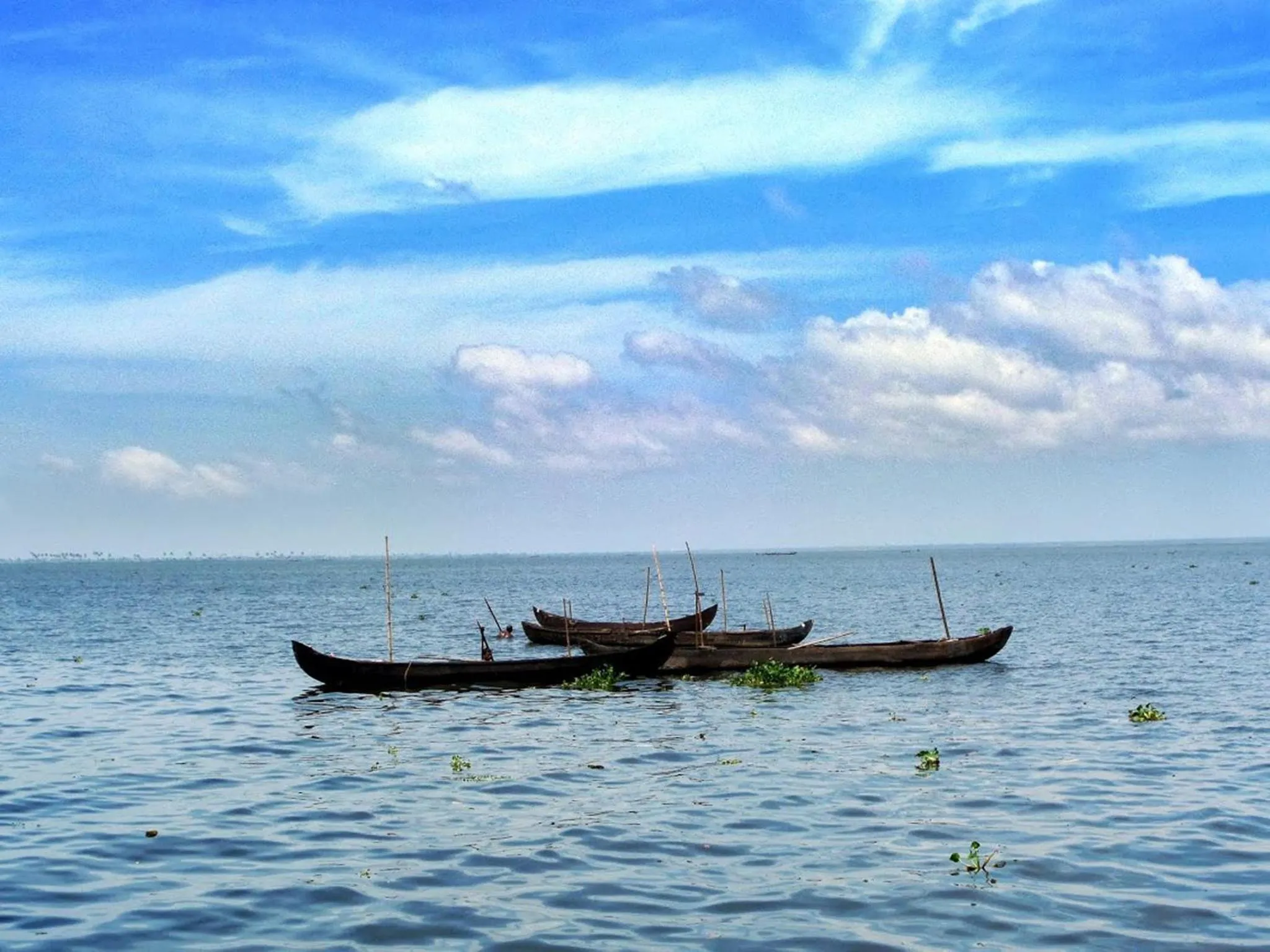 Natural landscape in Eco Trails Houseboats