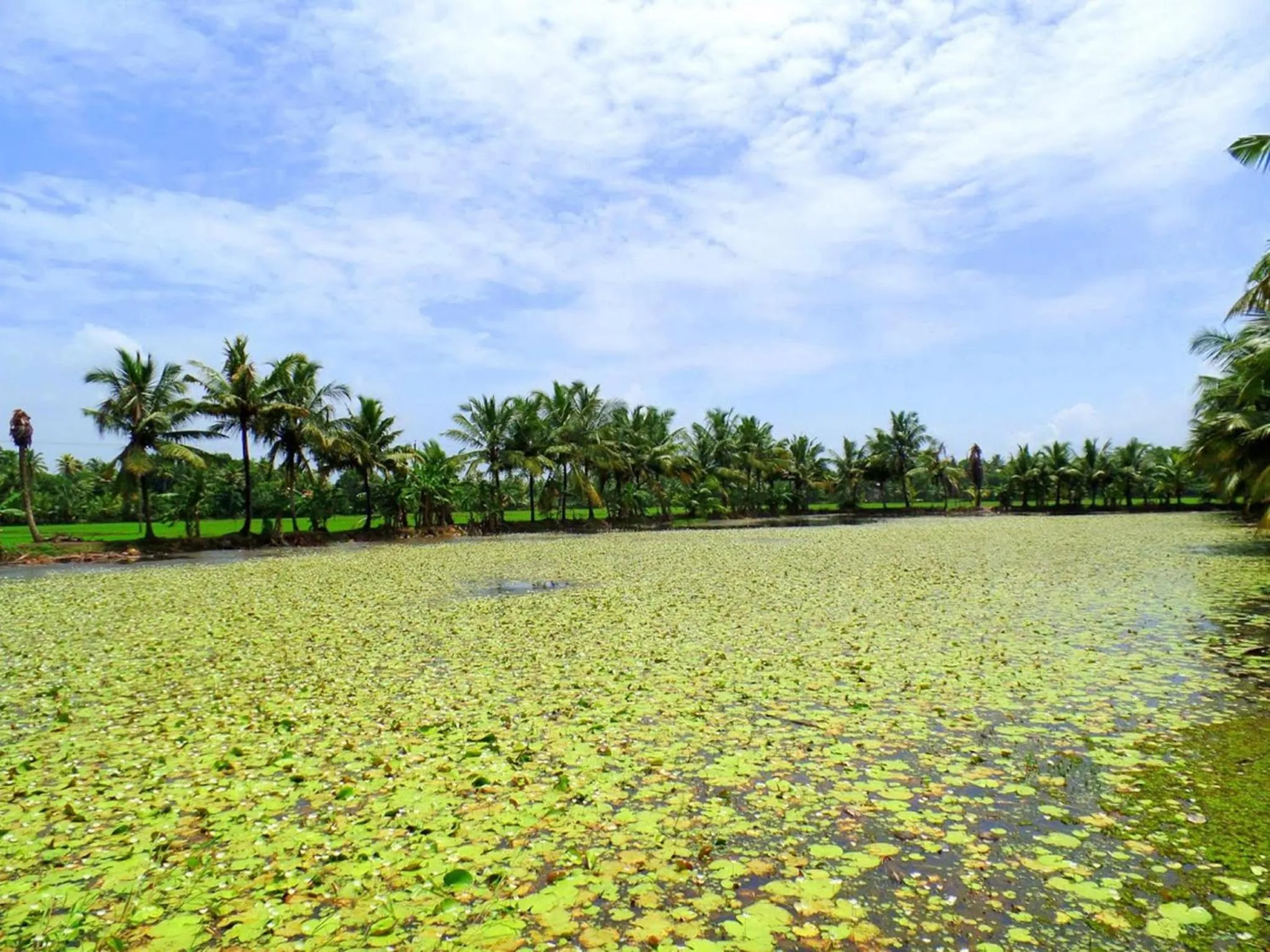 Natural landscape in Eco Trails Houseboats
